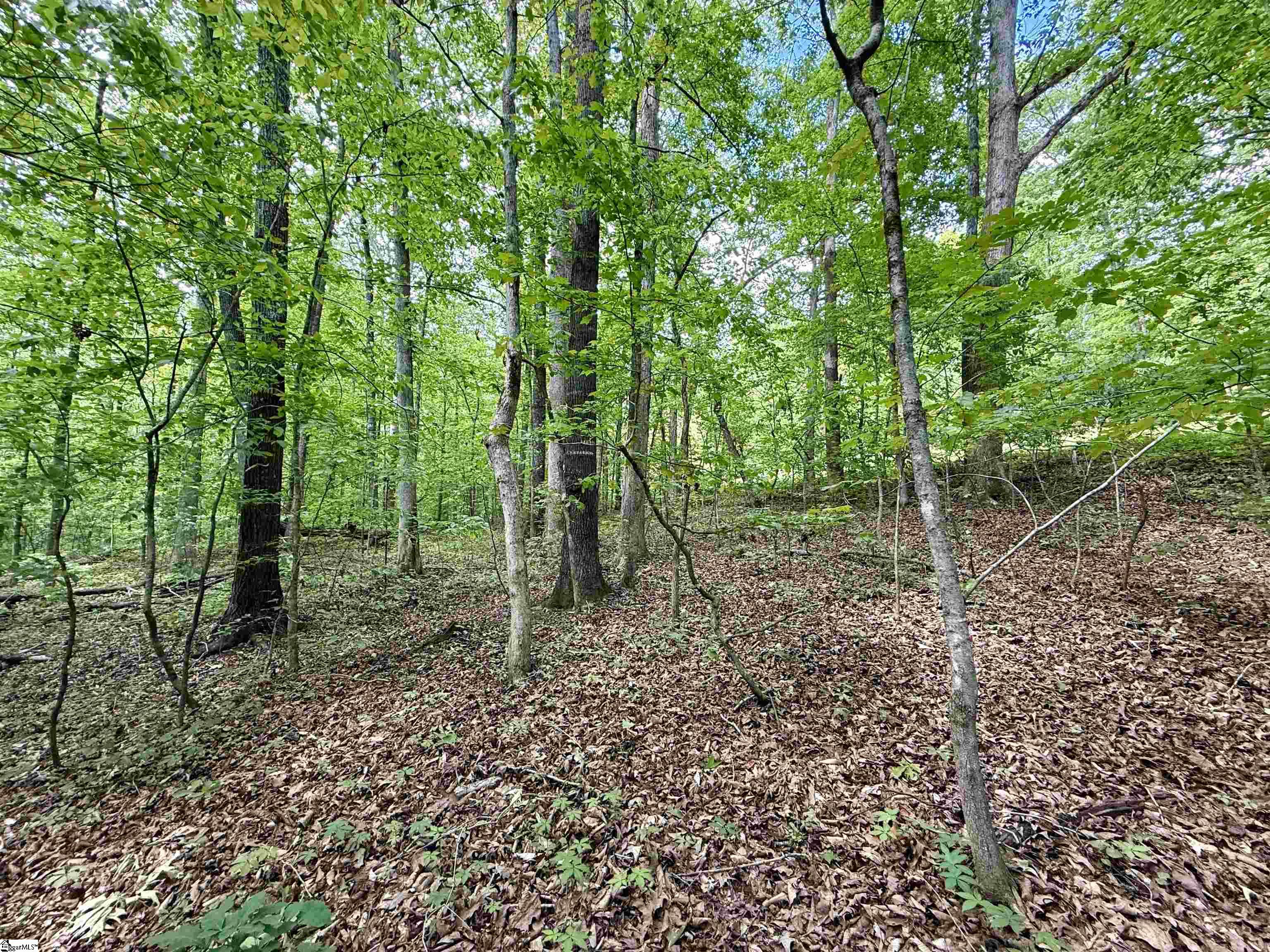 128 Sweetbriar Trail Westminster, SC 29693