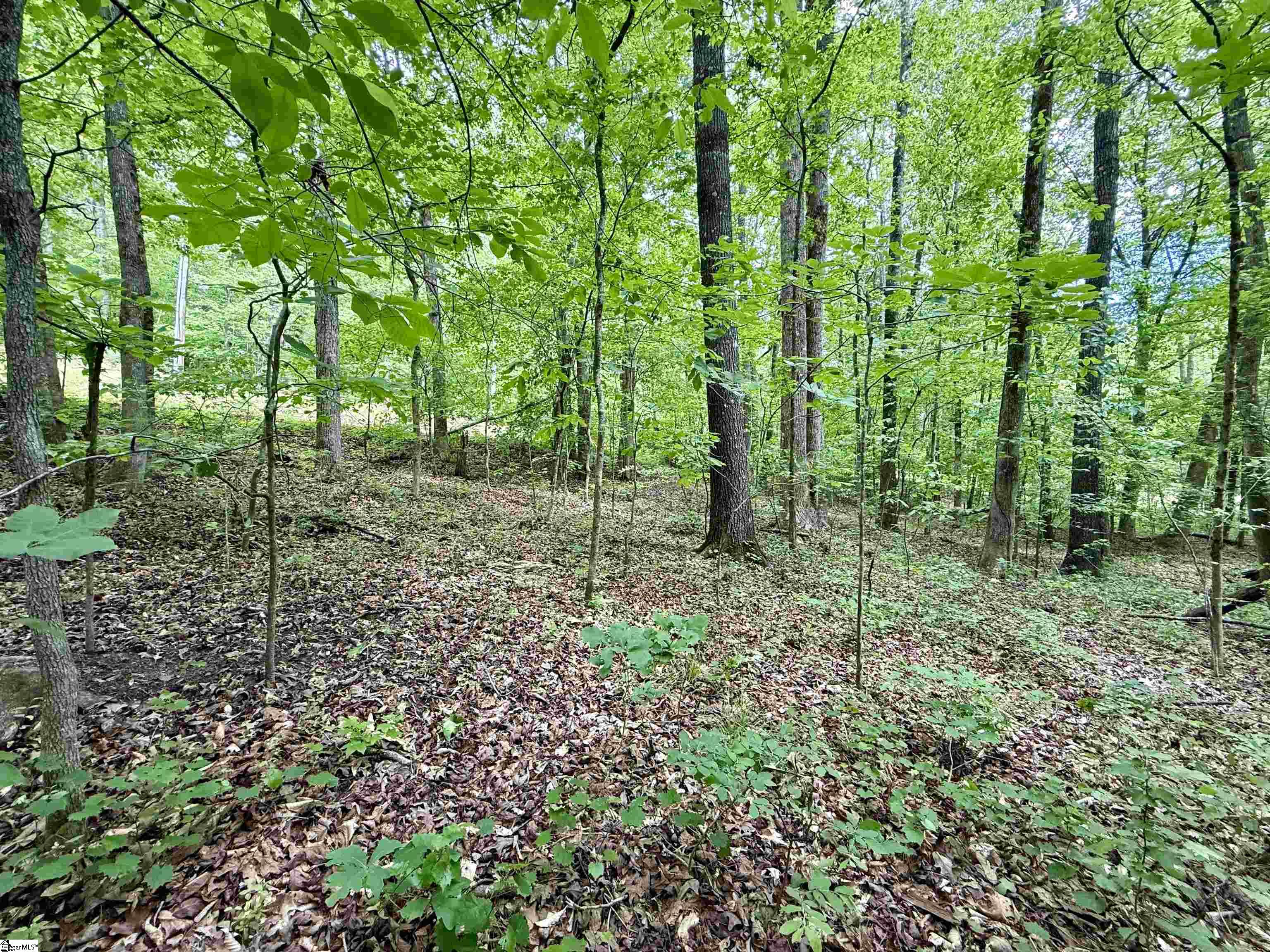 128 Sweetbriar Trail Westminster, SC 29693