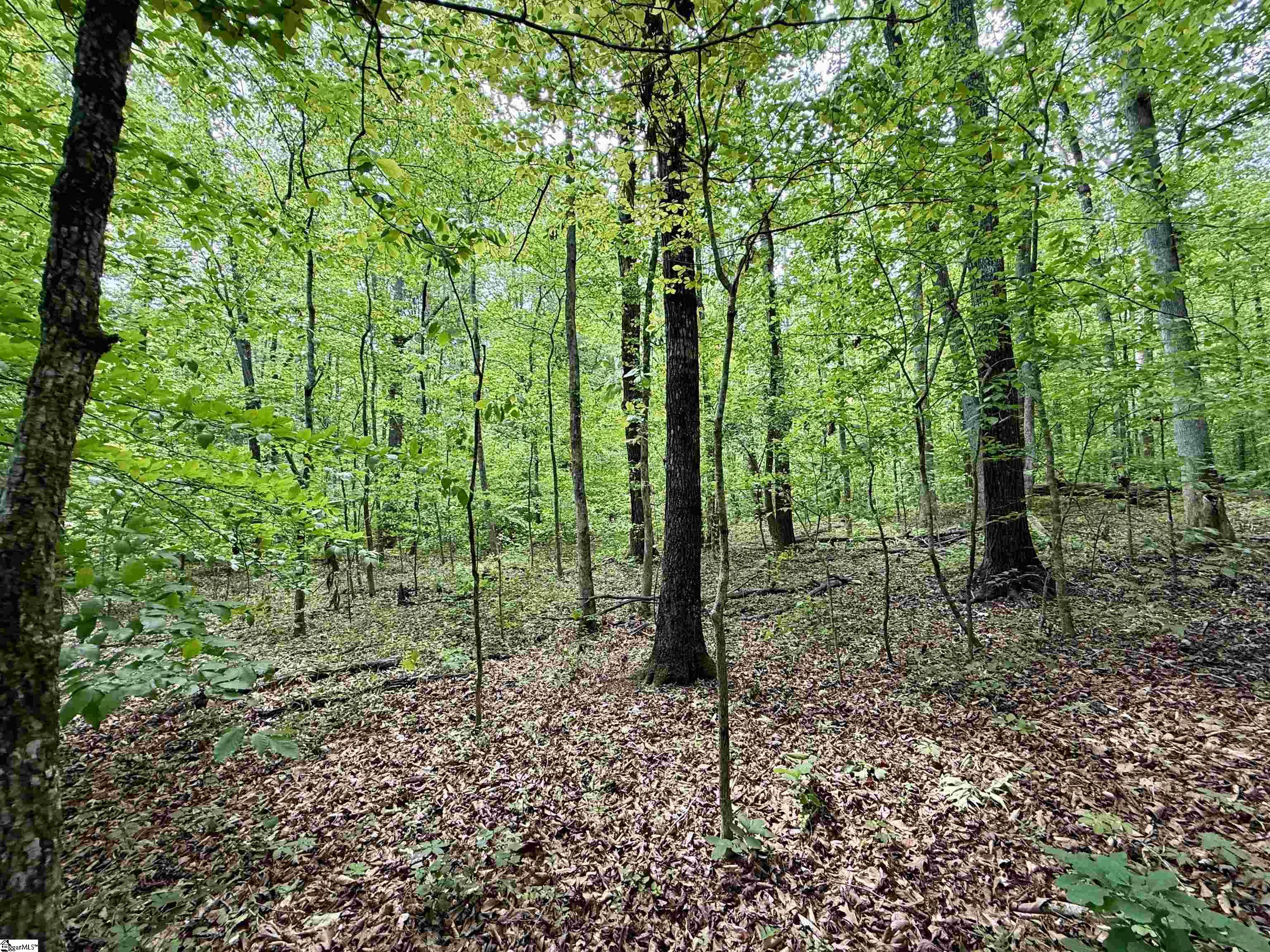 128 Sweetbriar Trail Westminster, SC 29693