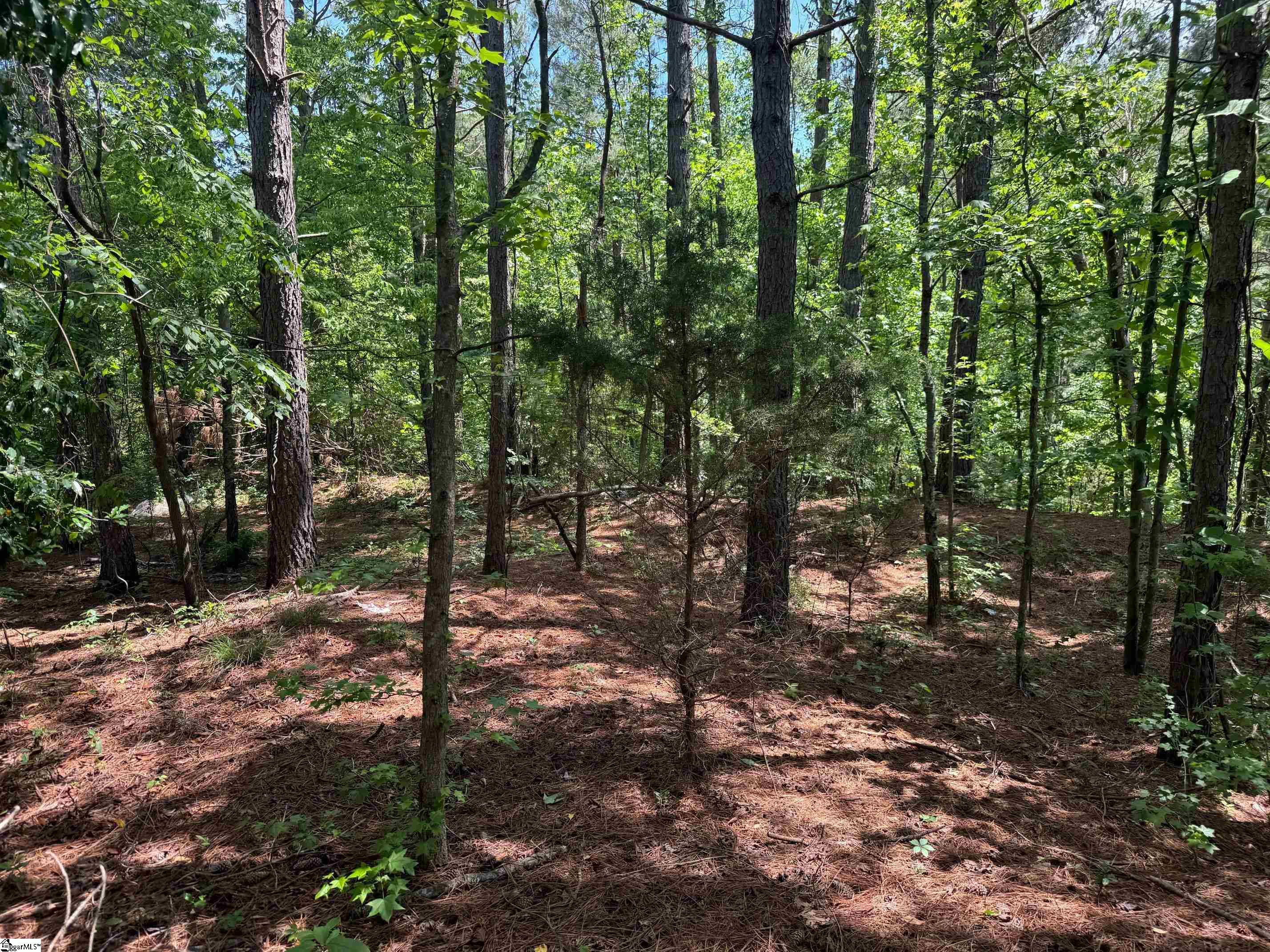 Toshes Creek Circle Union, SC 29379