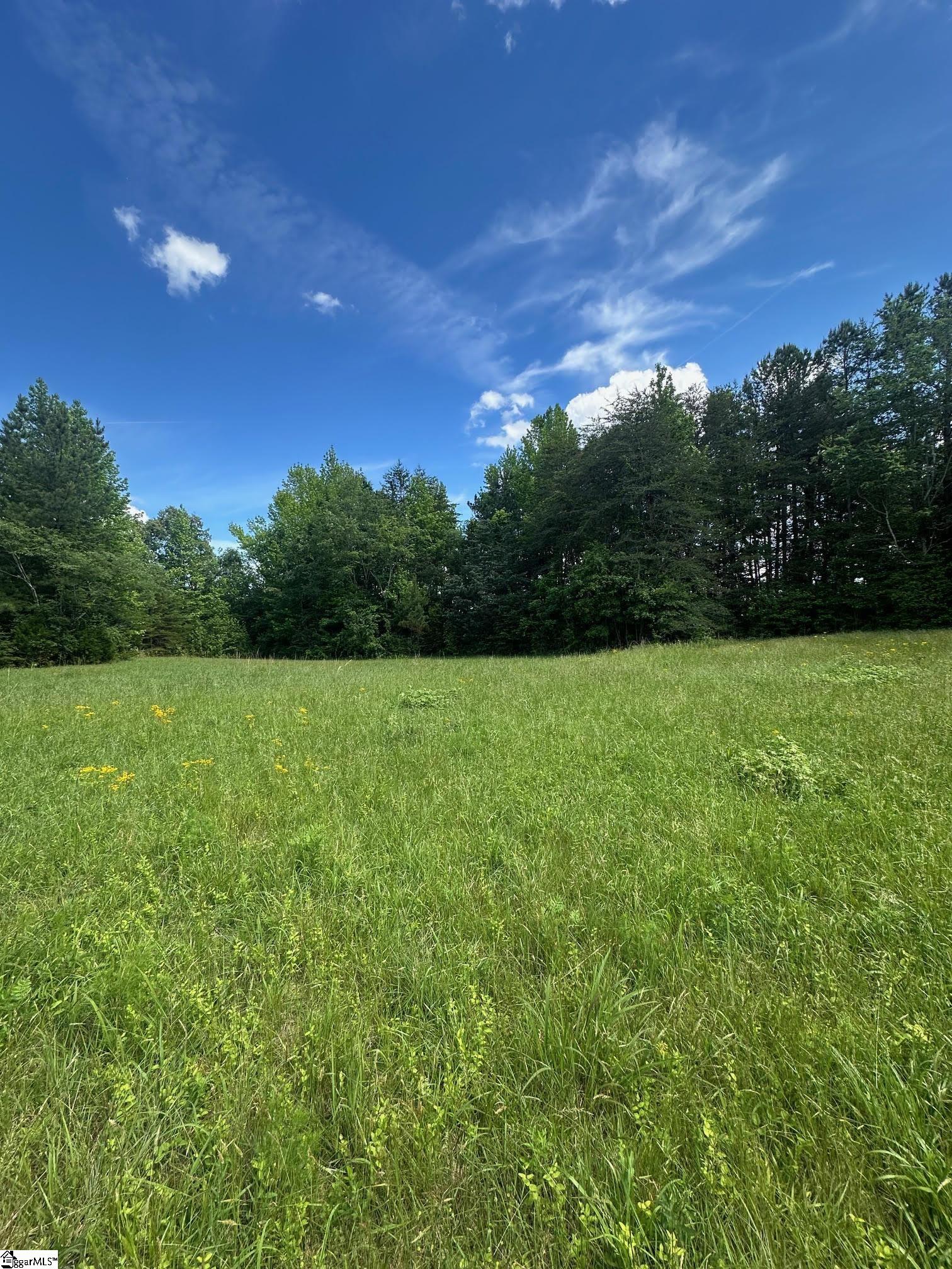 301 Sweet Gum Road Cowpens, SC 29307