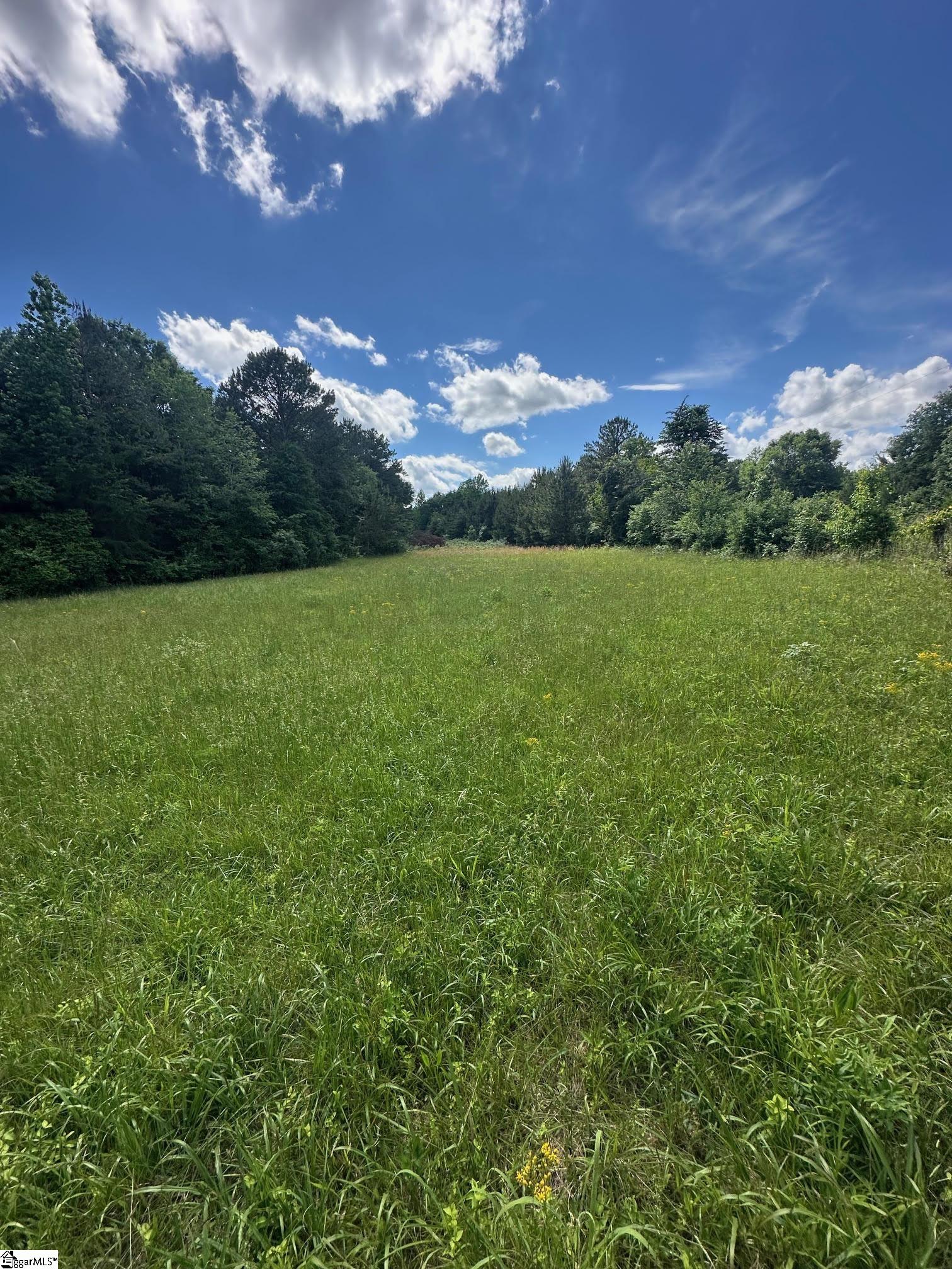 301 Sweet Gum Road Cowpens, SC 29307