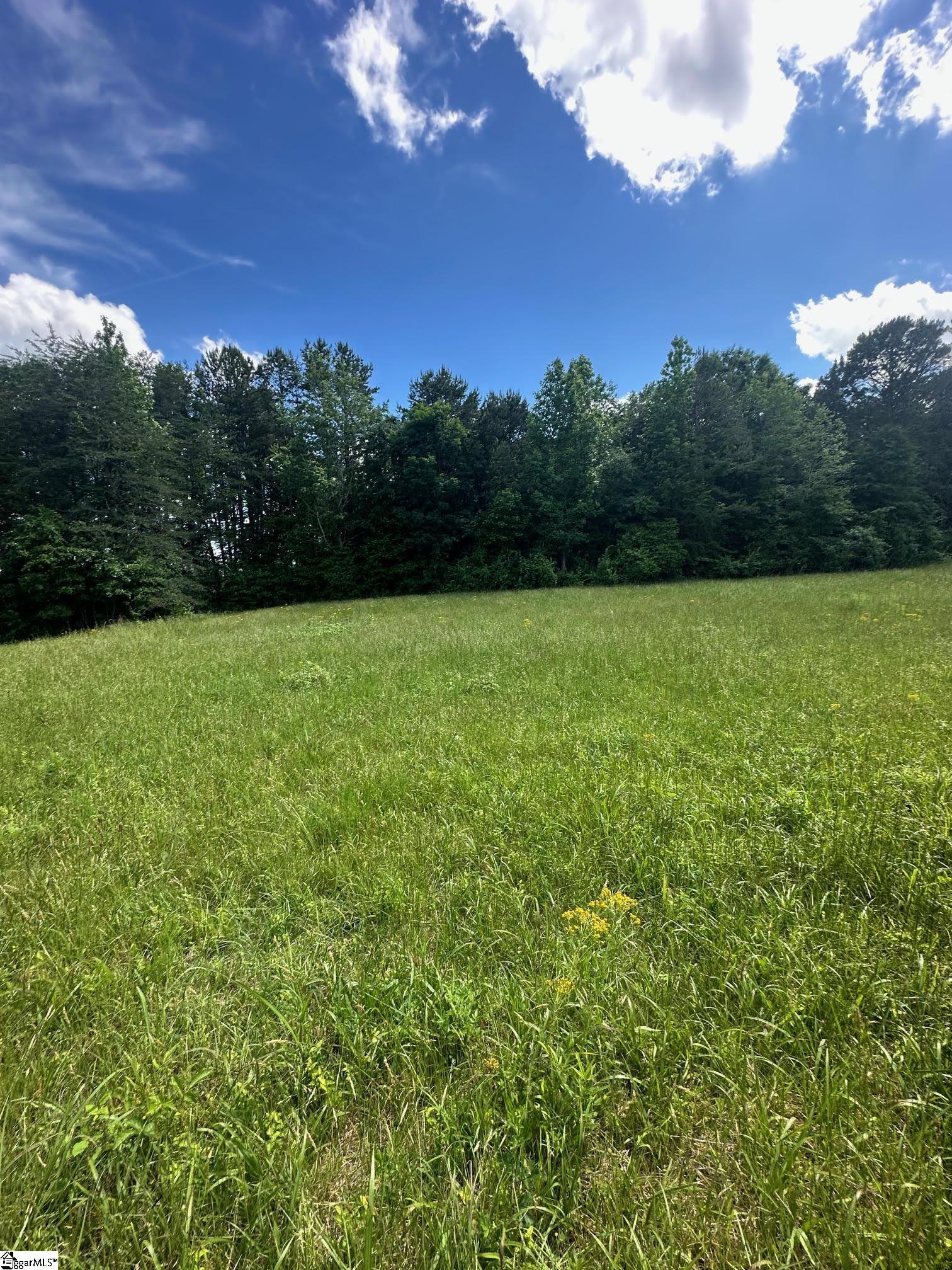 301 Sweet Gum Road Cowpens, SC 29307