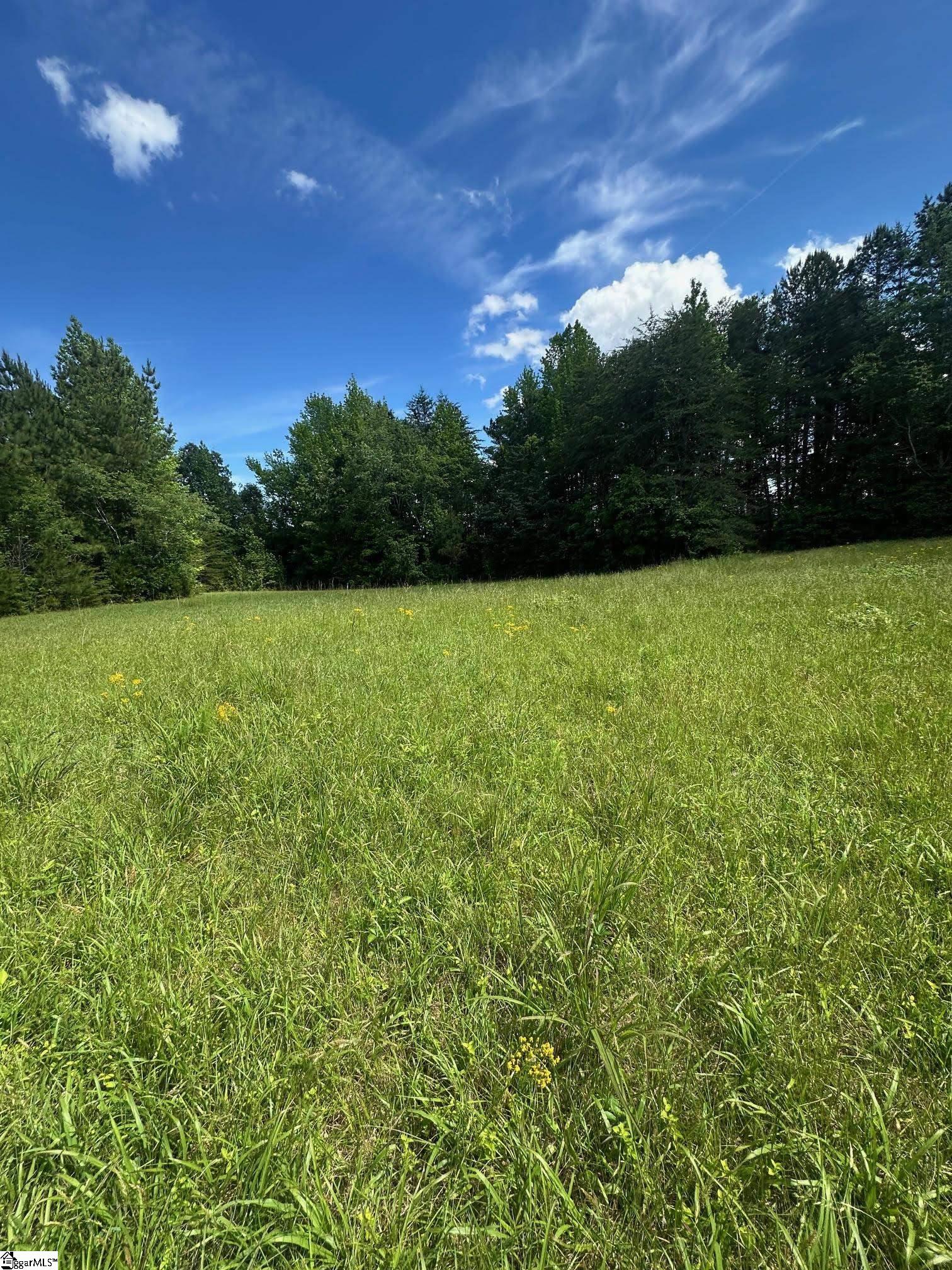 301 Sweet Gum Road Cowpens, SC 29307