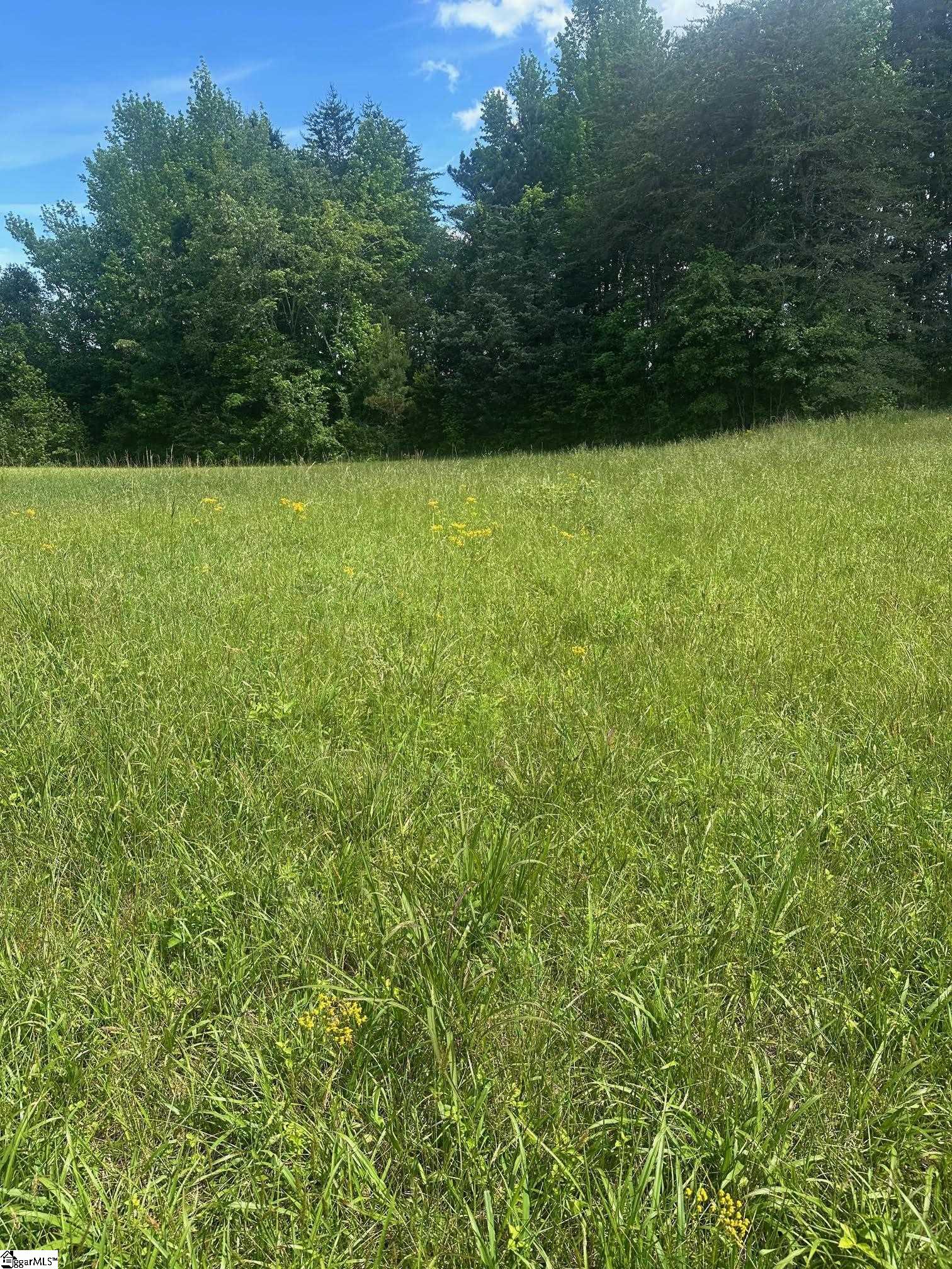 301 Sweet Gum Road Cowpens, SC 29307
