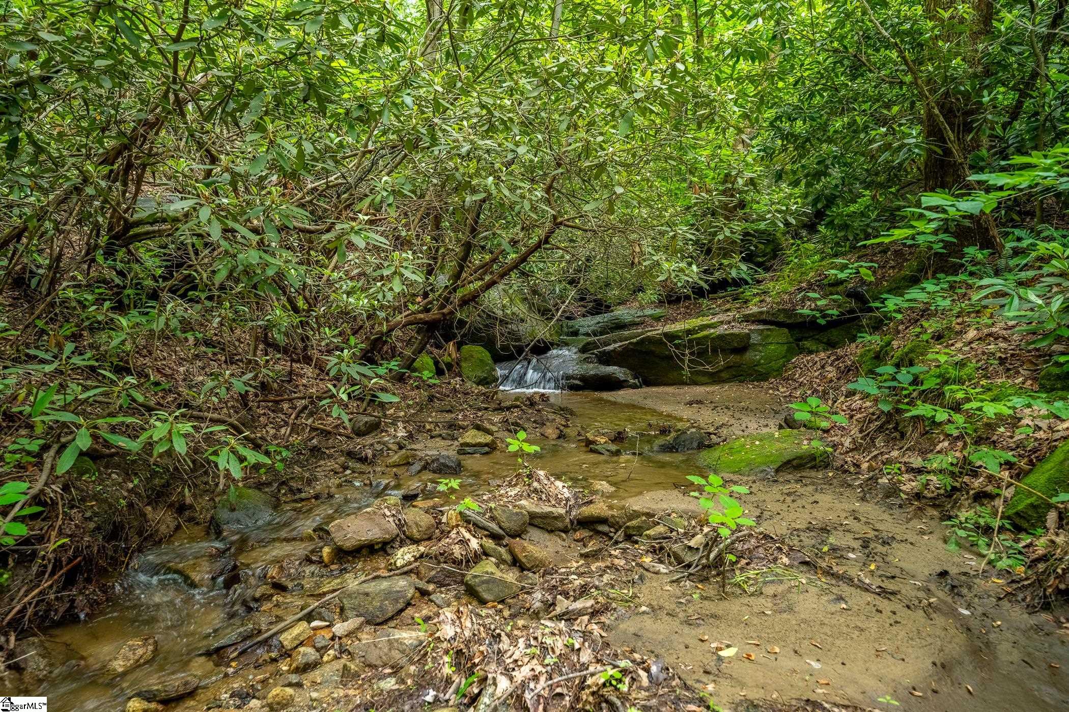 76 Southview Ledge Road Landrum, SC 29356-3329