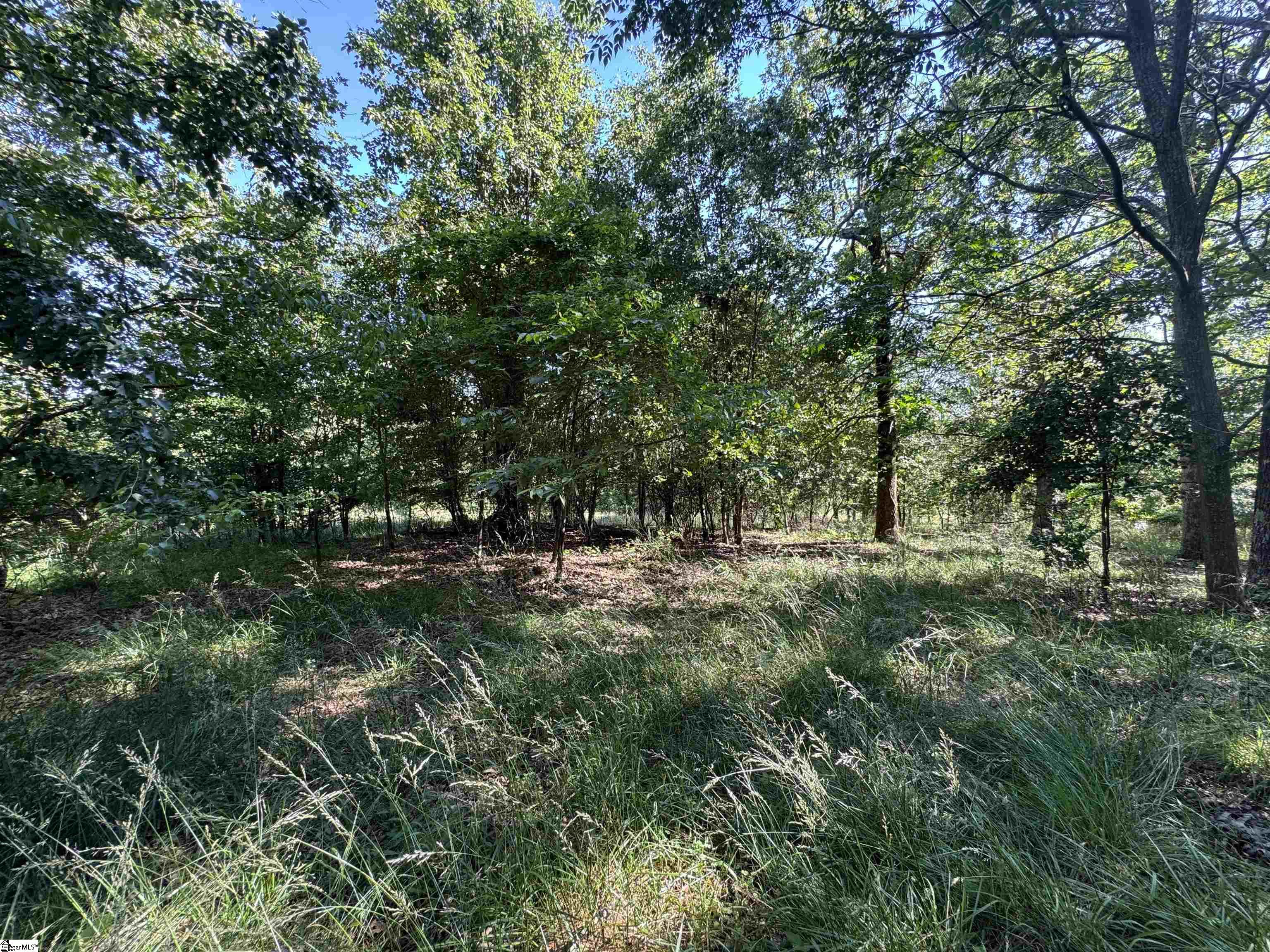00 Farmers Hill Road Liberty, SC 29657