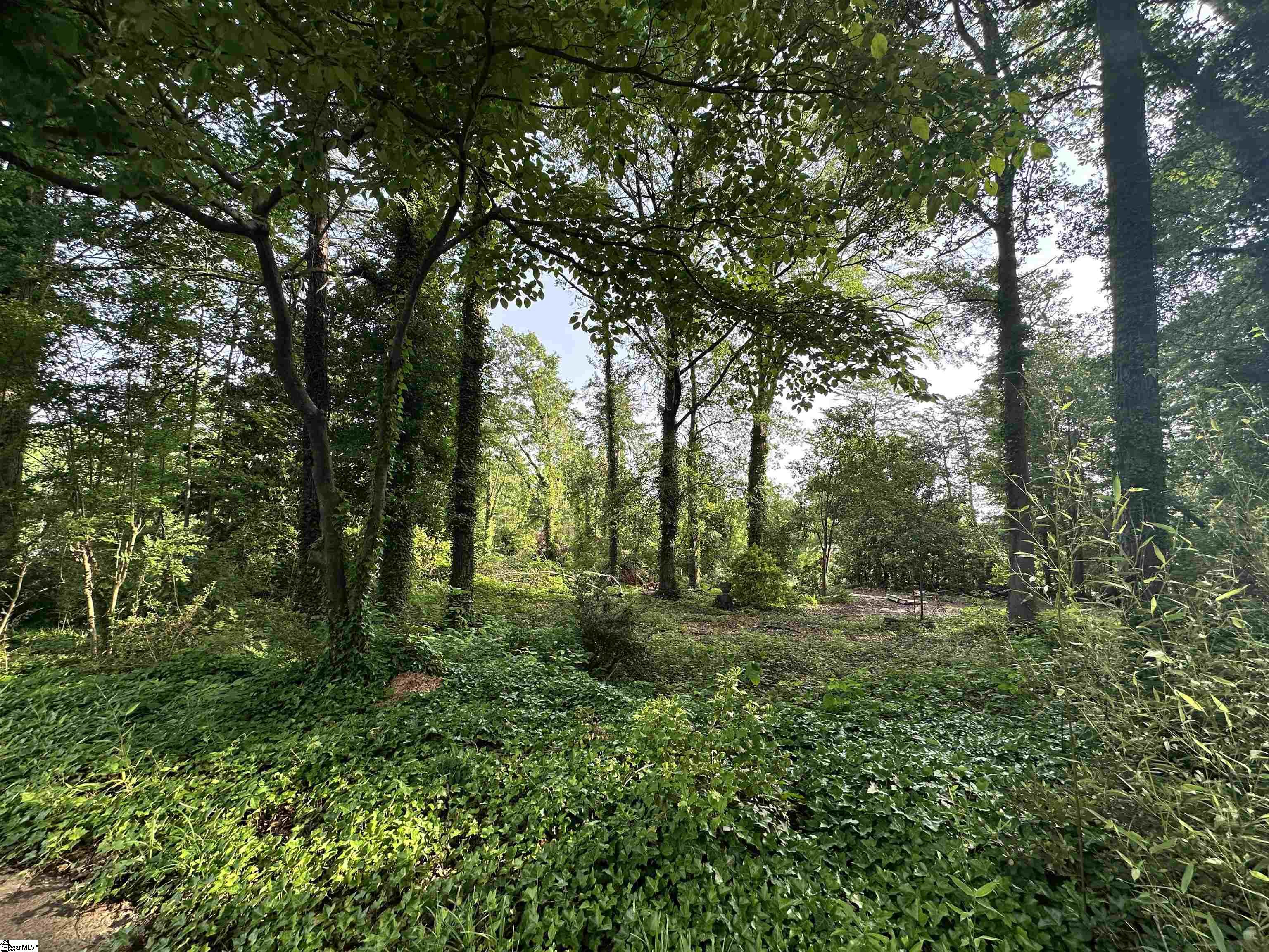 308 Old Grove Road Greenville, SC 29605