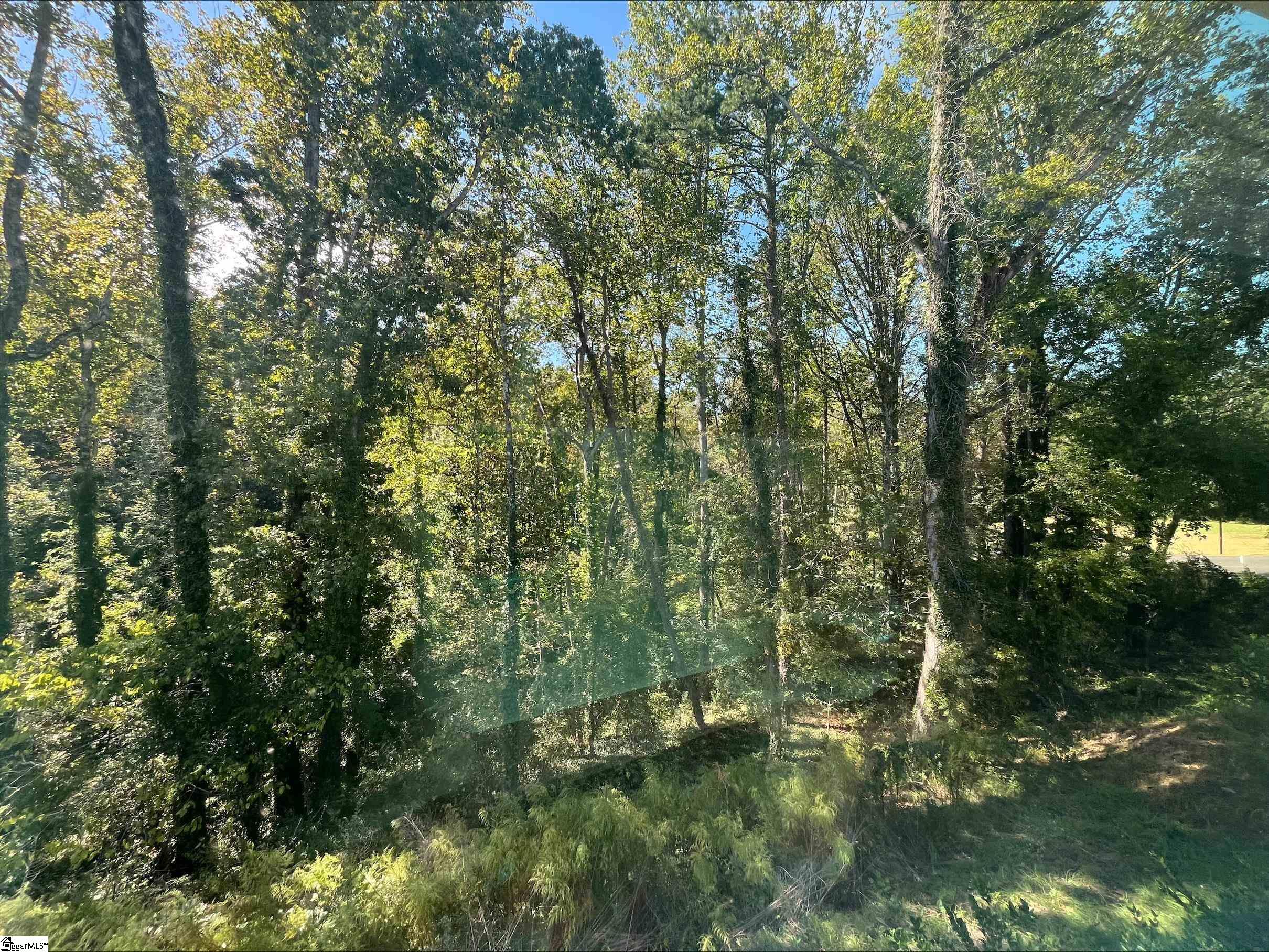 113 Pendleton Place Way Pendelton, SC 29670