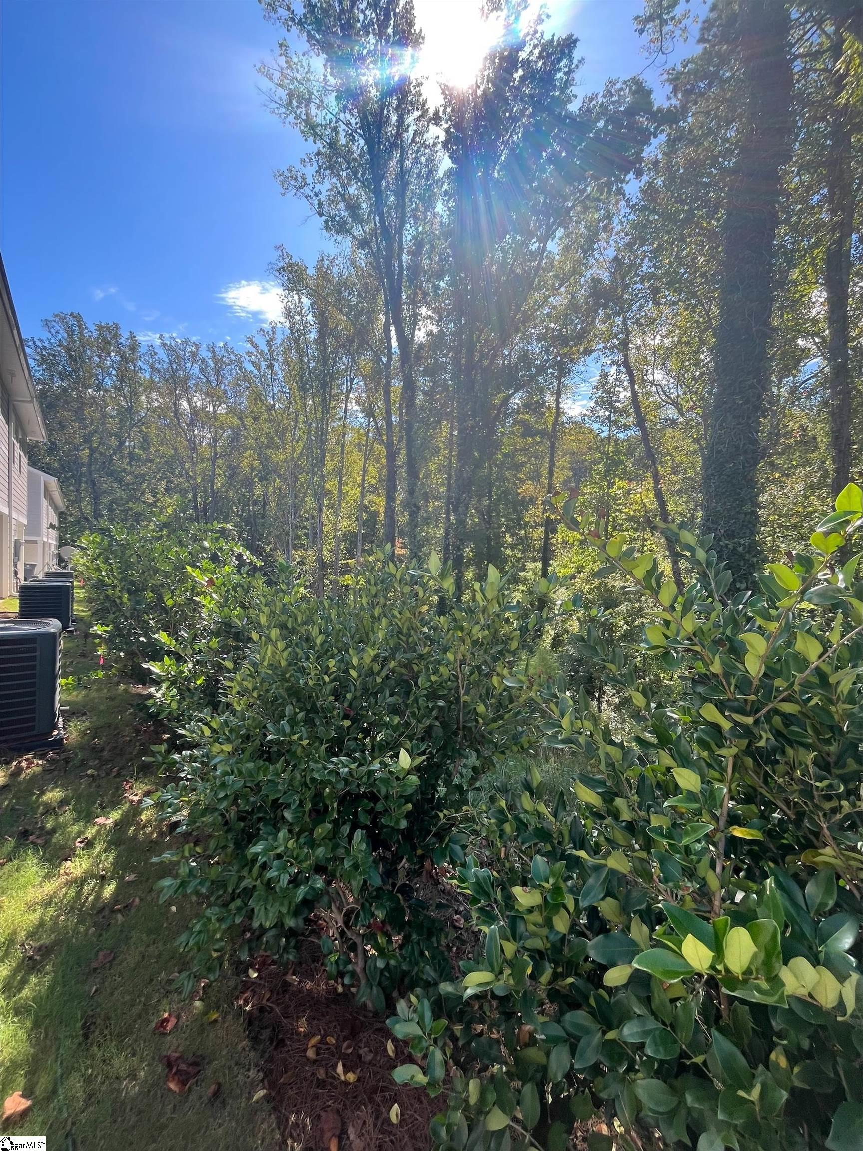 113 Pendleton Place Way Pendelton, SC 29670