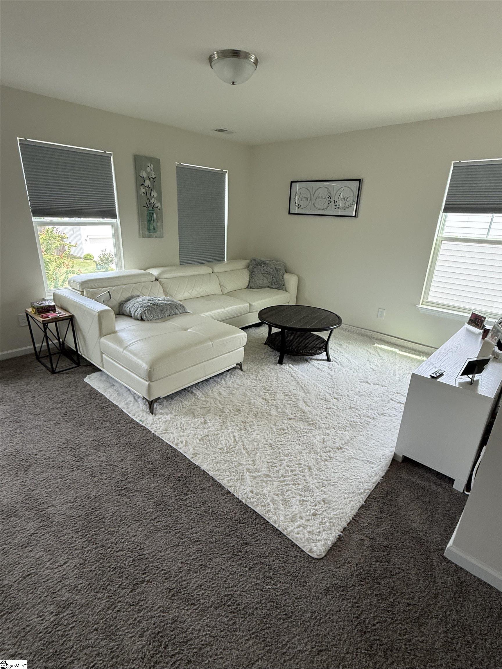 717 Pollyanna Drive Greenville, SC 29605
