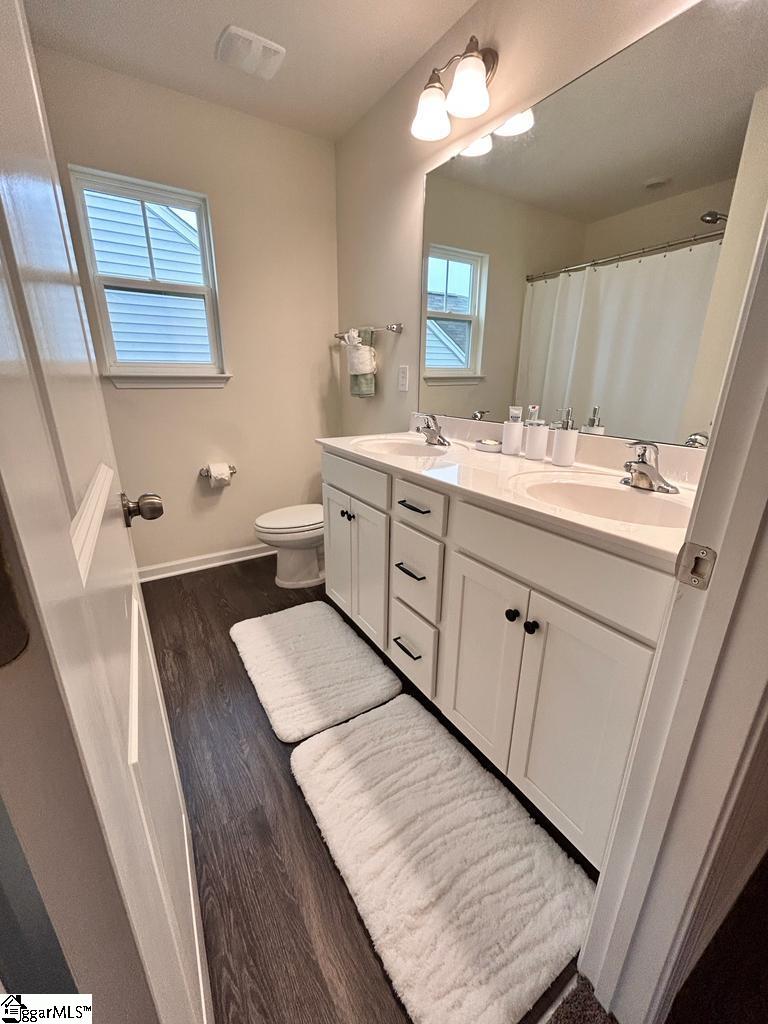 717 Pollyanna Drive Greenville, SC 29605