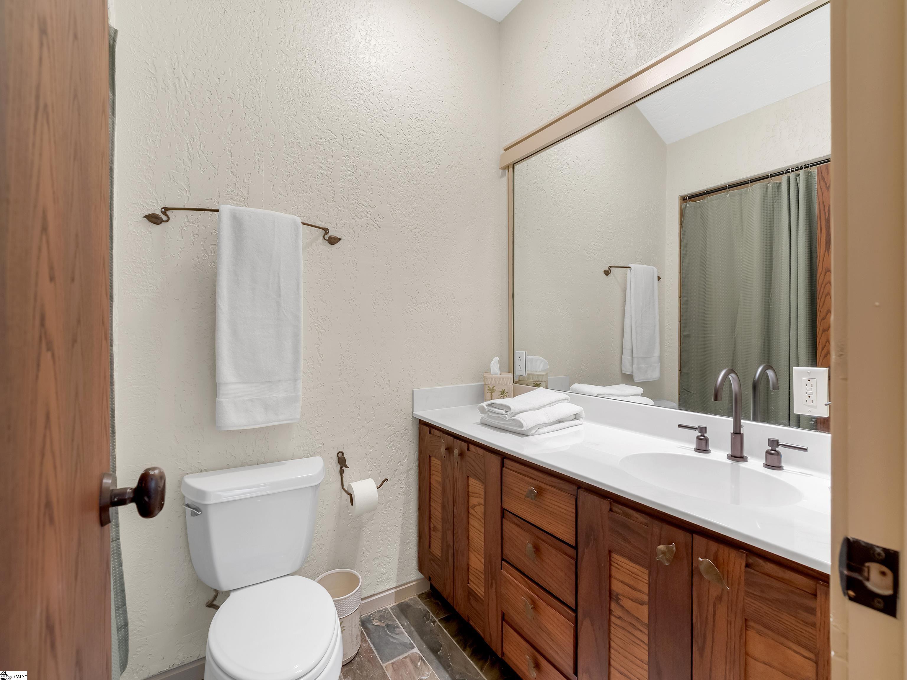 19 Moonshine Falls Trail Landrum, SC 29356