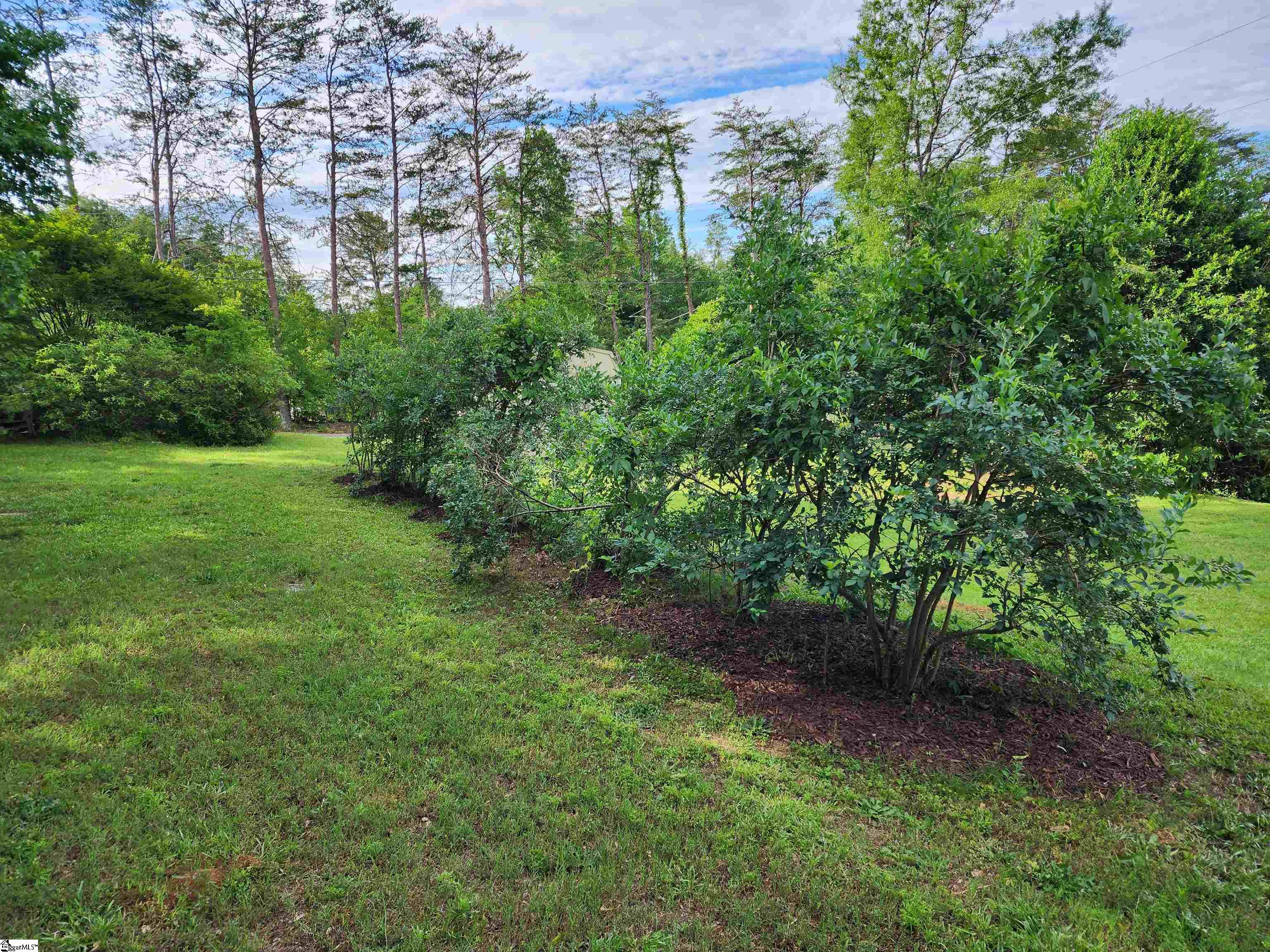 1104 Robert P Jeanes Road Easley, SC 29640