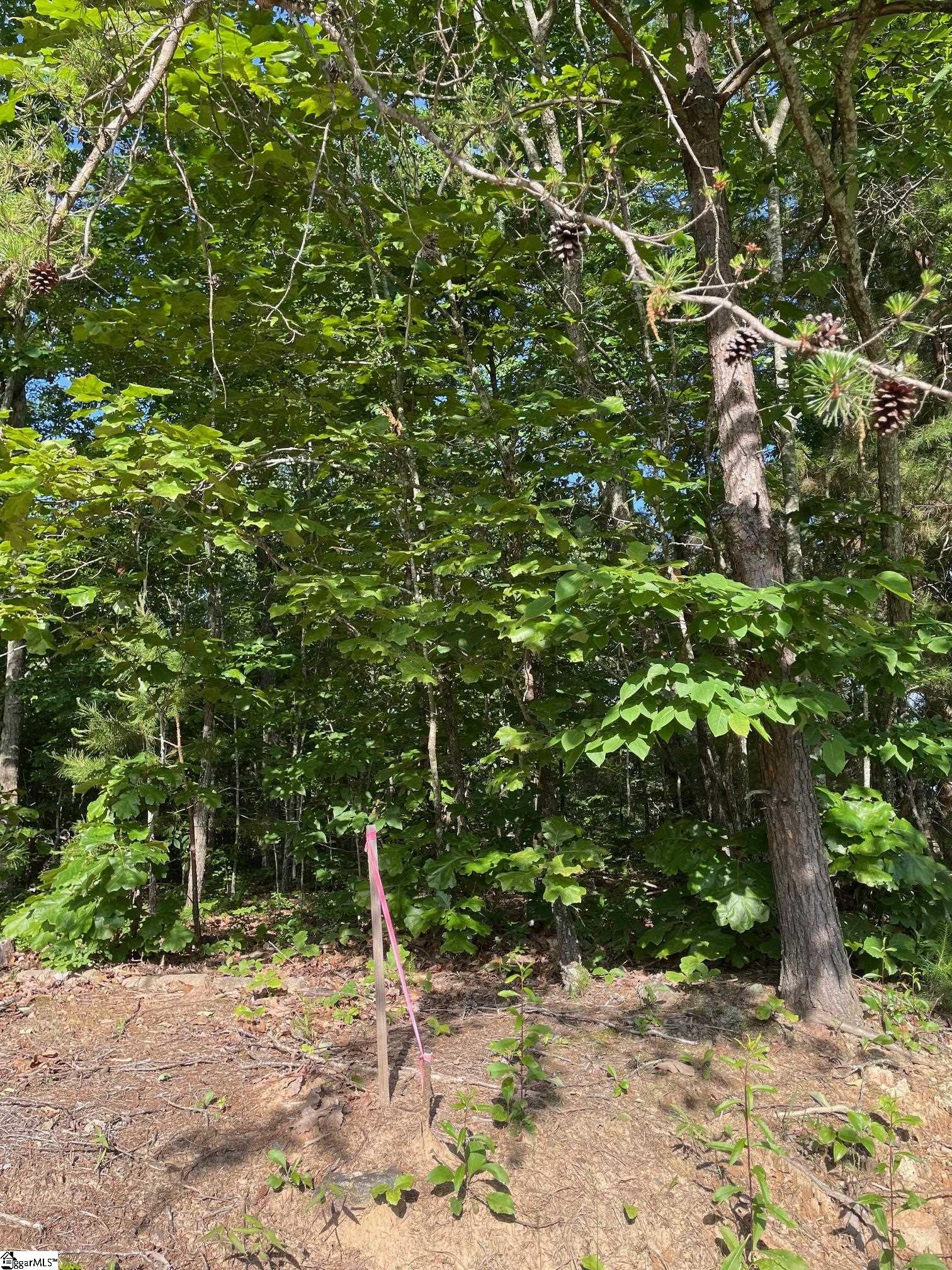 00 Jordan Road Greer, SC 29651