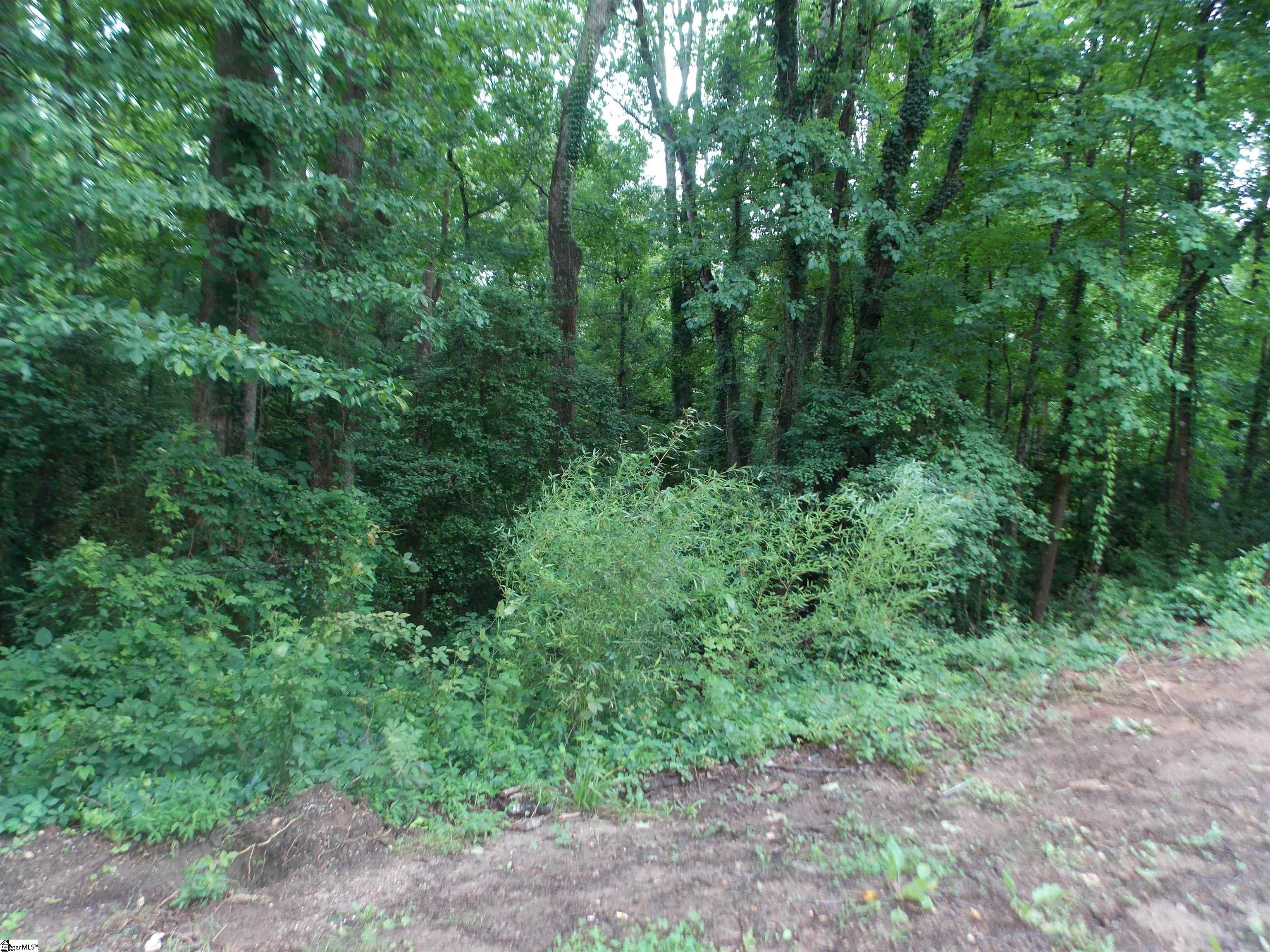 311AA Shirley Road Piedmont, SC 29673