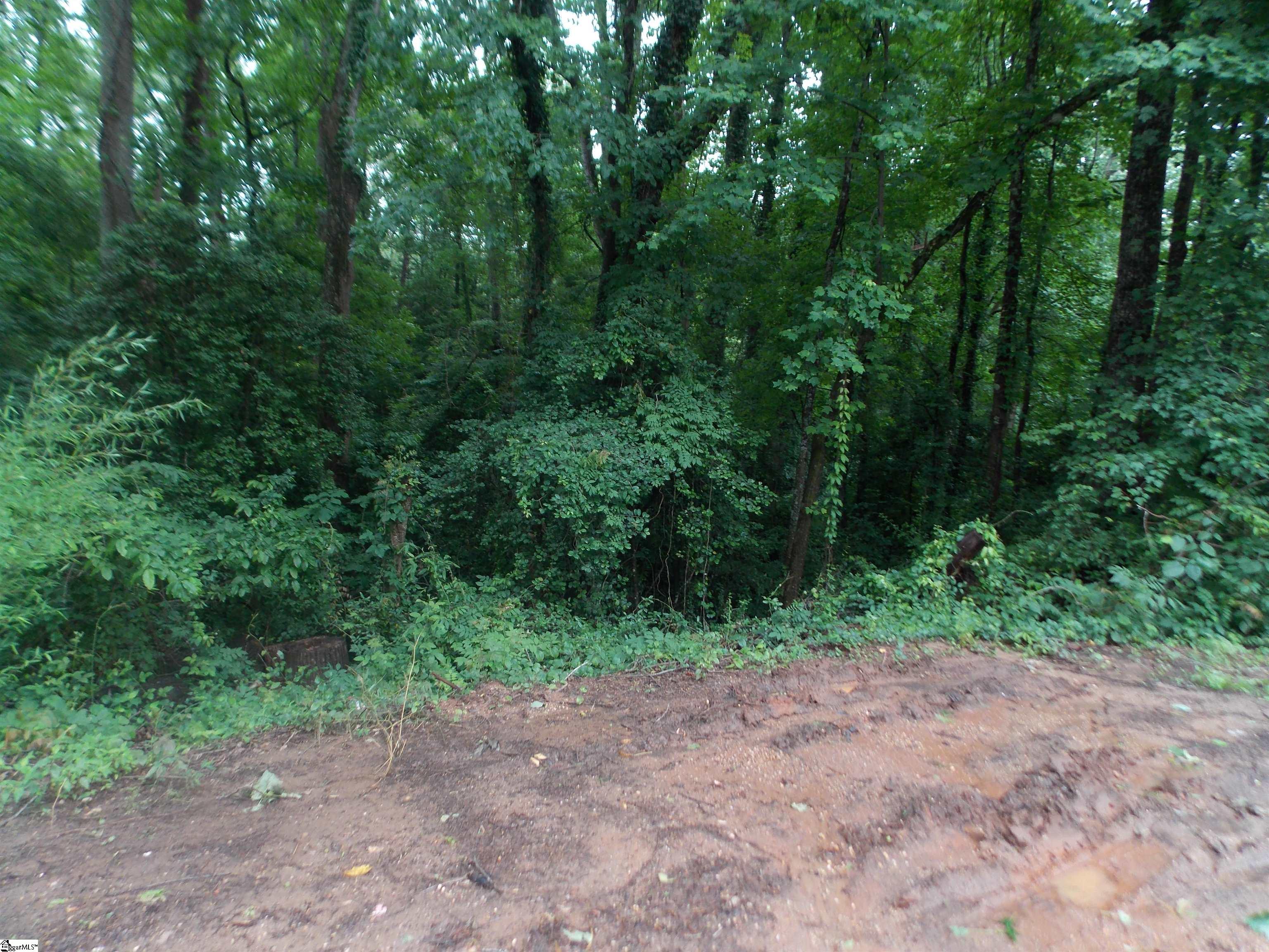 311AA Shirley Road Piedmont, SC 29673