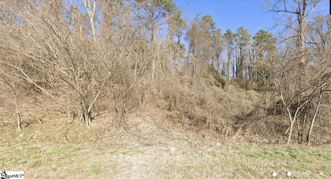 10528 E Greenville Highway Wellford, SC 29385