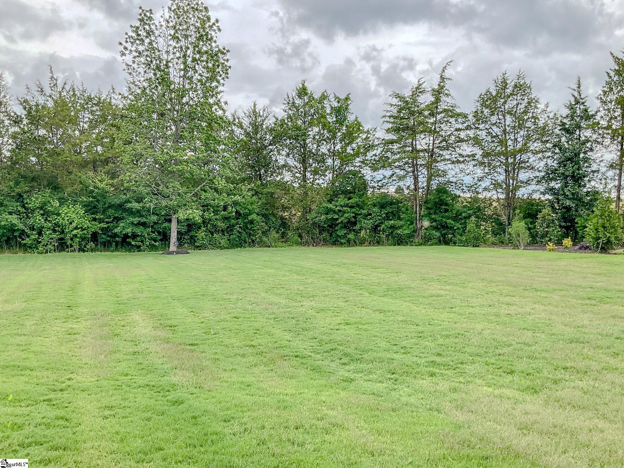 17 Peyton Lane Simpsonville, SC 29681-4785