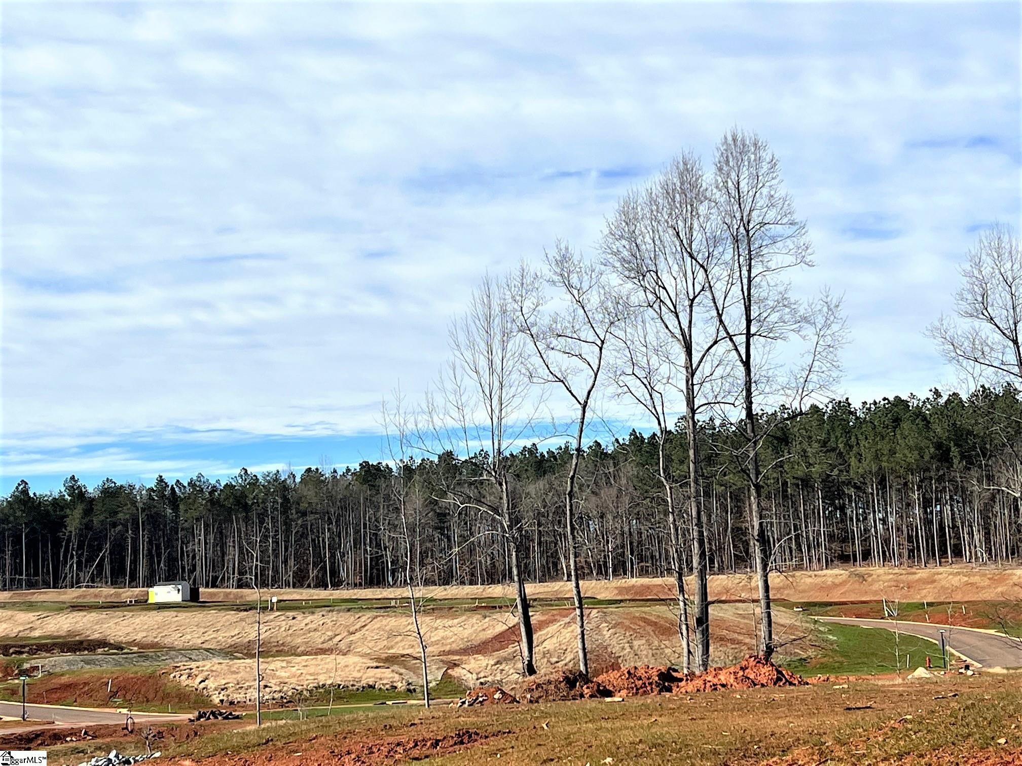 2562 S. Christo Lane Wellford, SC 29384