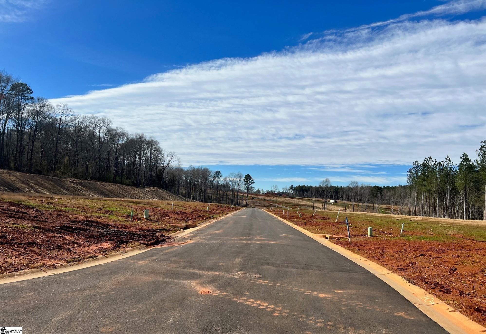 2562 S. Christo Lane Wellford, SC 29384