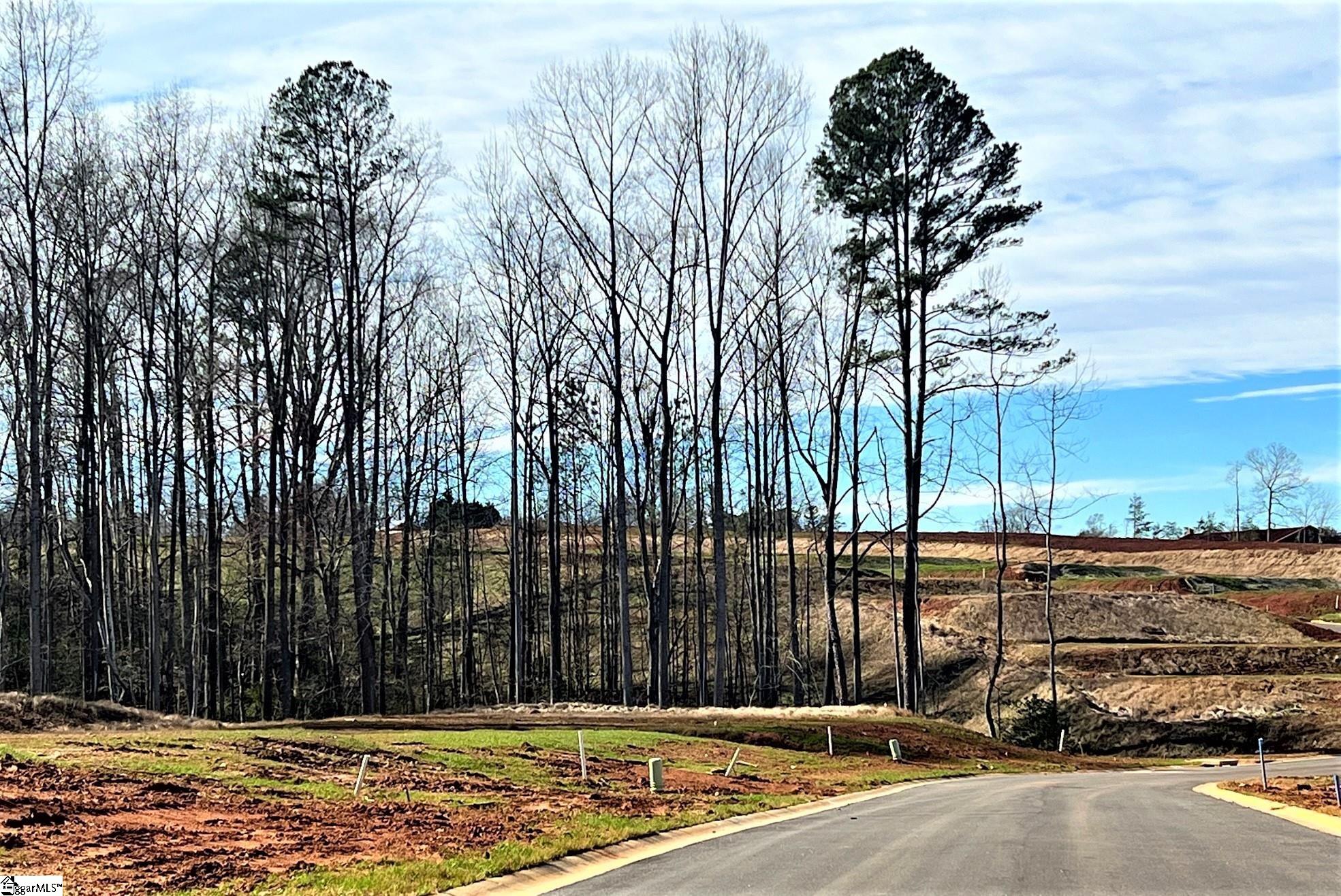 2562 S. Christo Lane Wellford, SC 29384