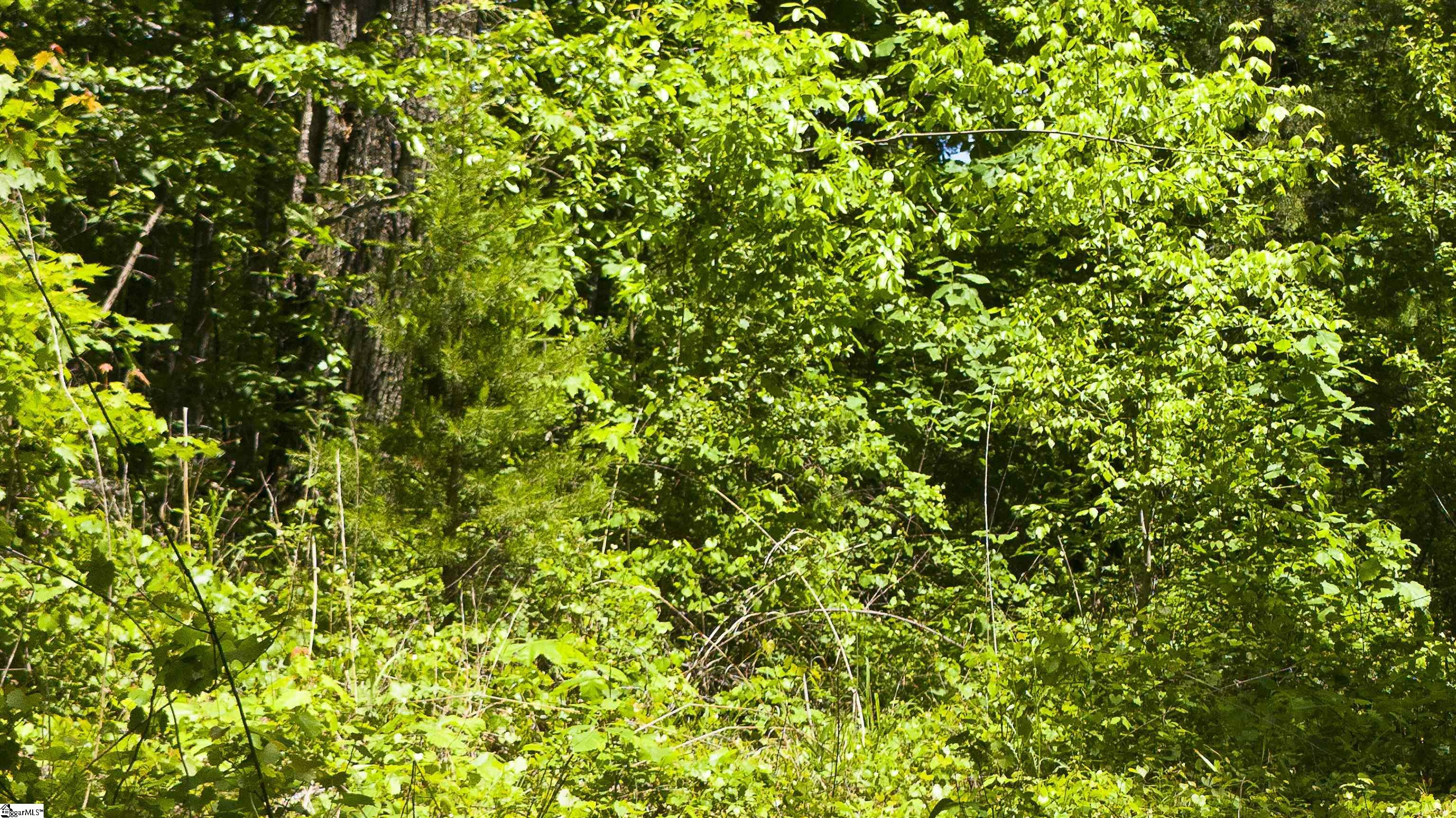 280 Dovehaven Drive Pickens, SC 29671