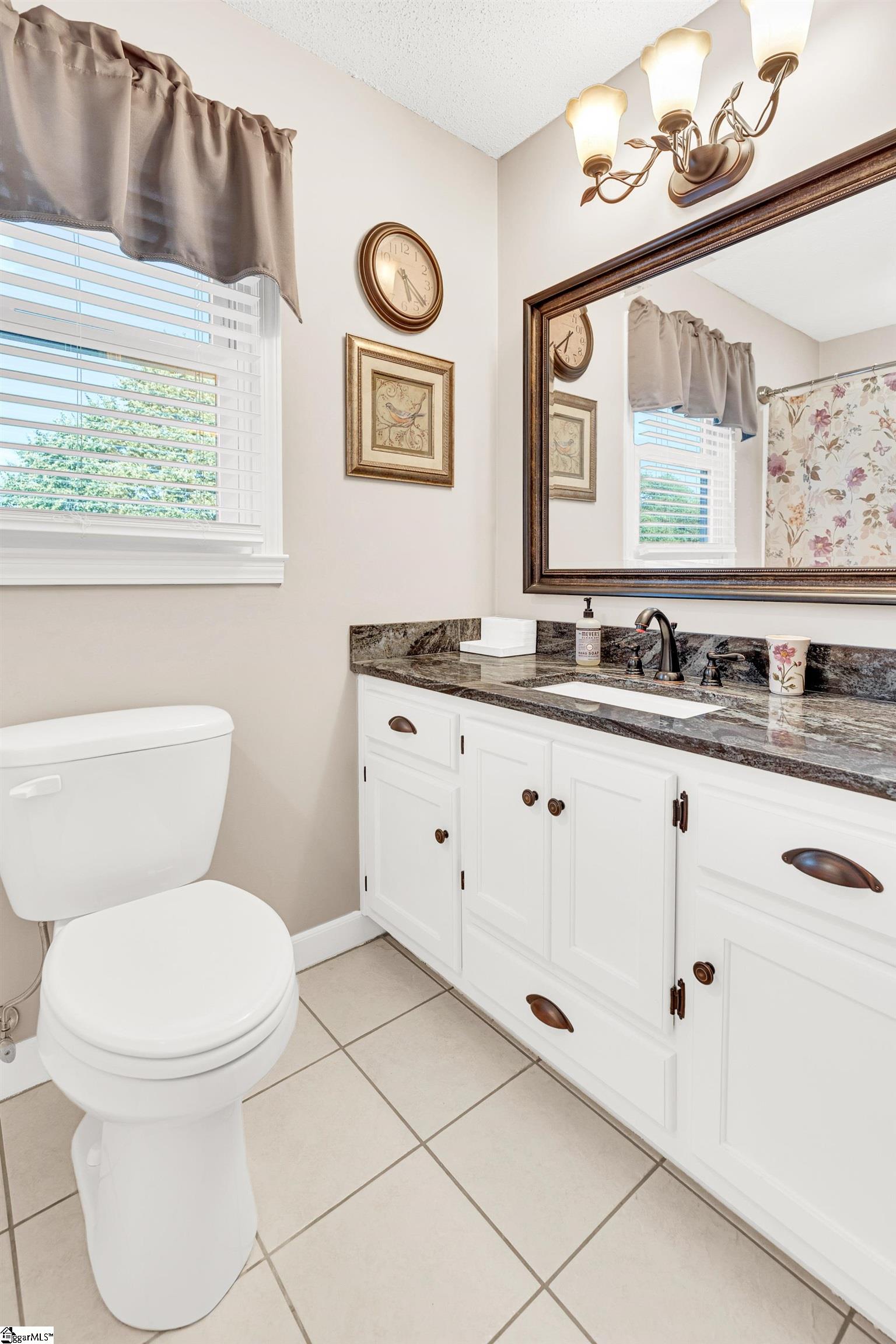 110 Mountain Valley Drive Greer, SC 29651
