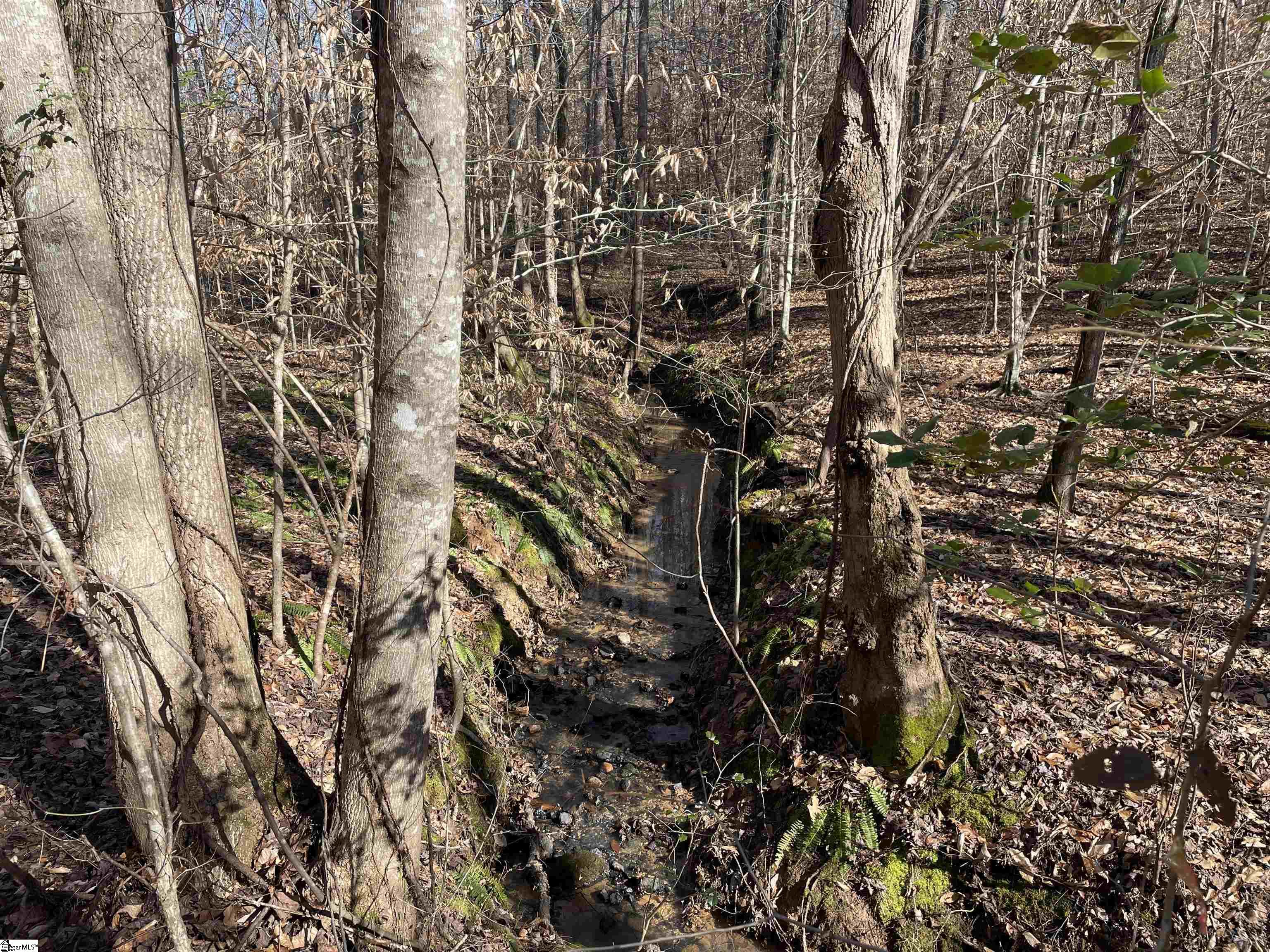 00 Beardon Hollow Road Westminster, SC 29693