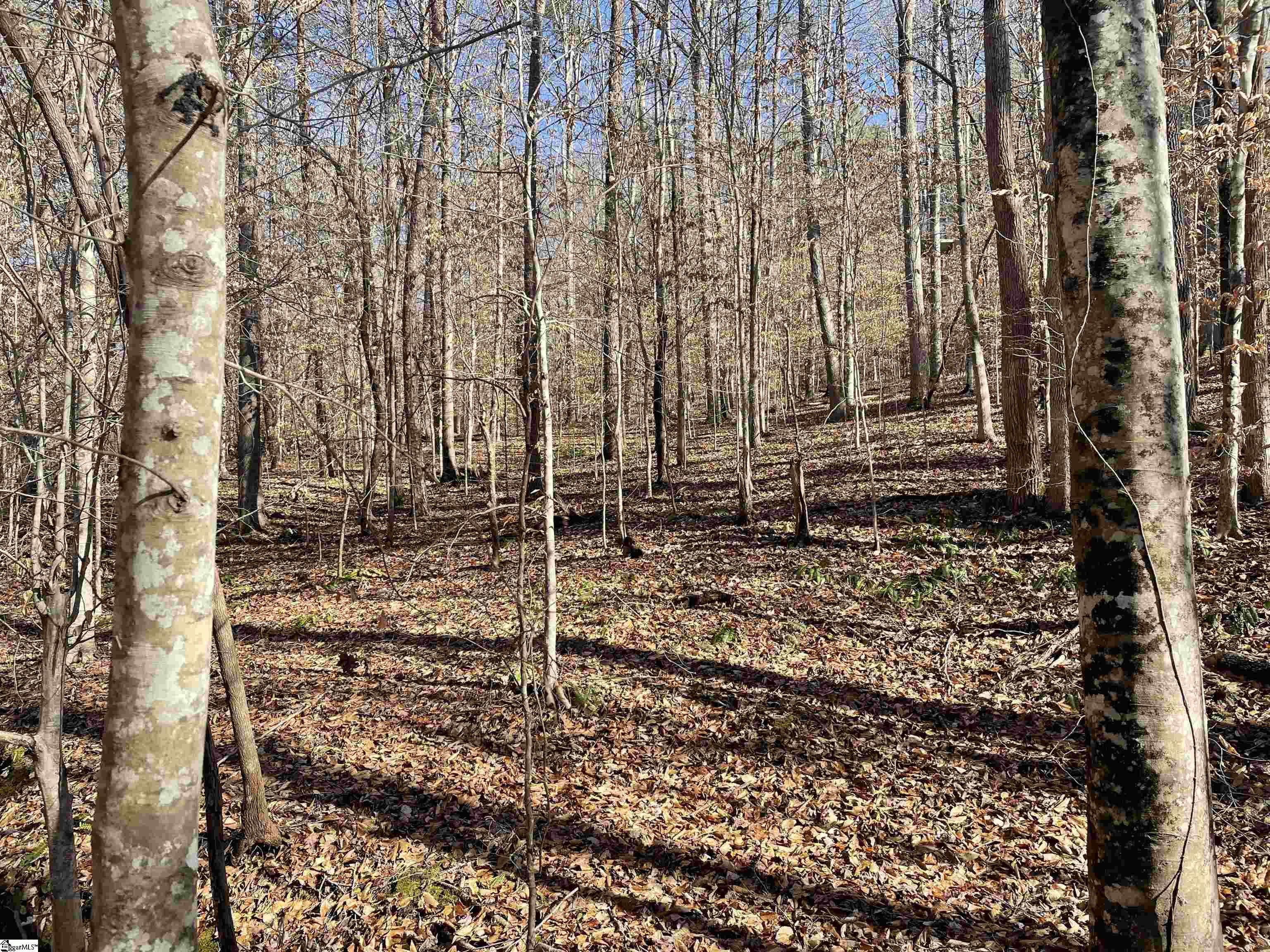 00 Beardon Hollow Road Westminster, SC 29693