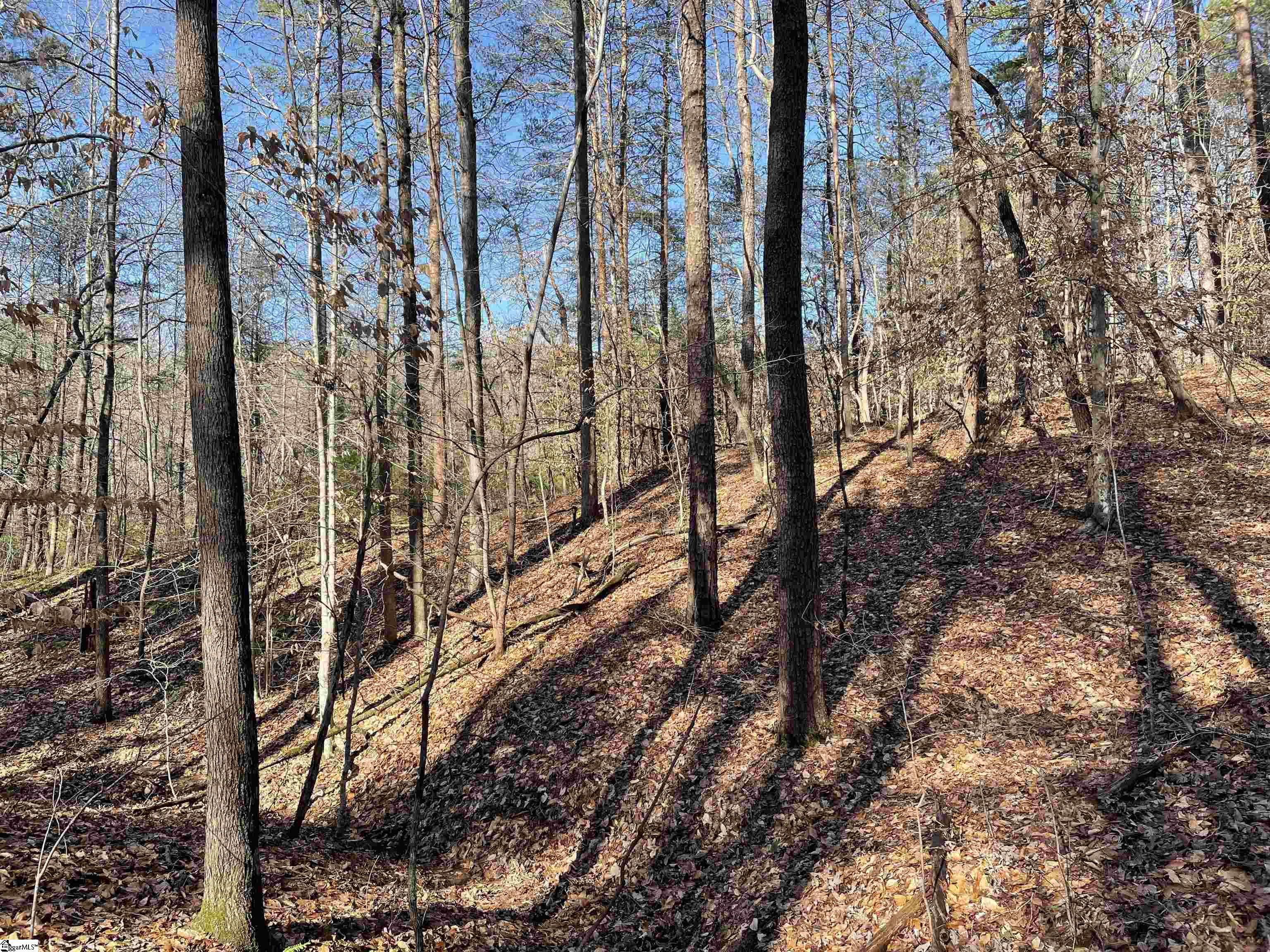 00 Beardon Hollow Road Westminster, SC 29693