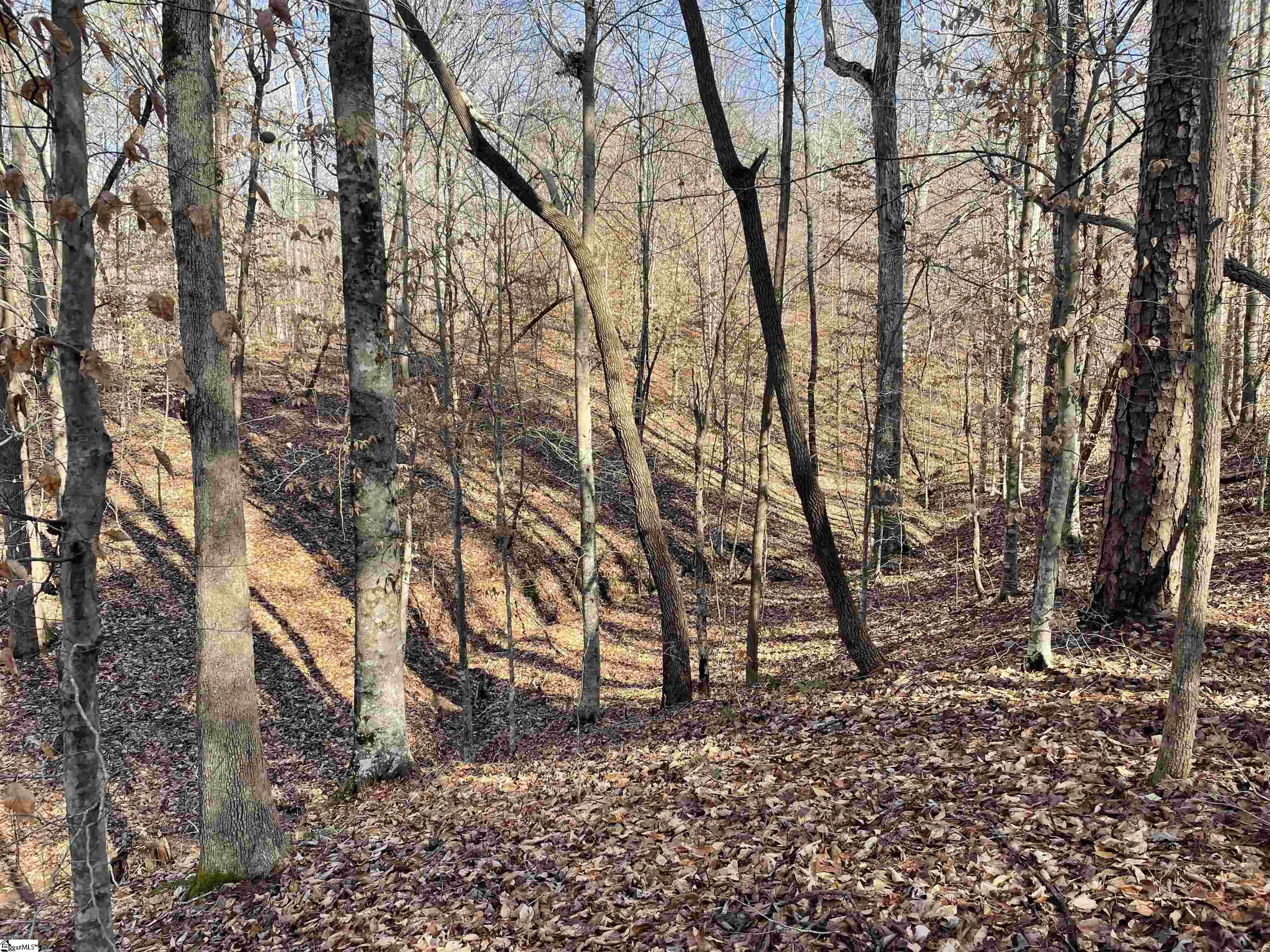 00 Beardon Hollow Road Westminster, SC 29693