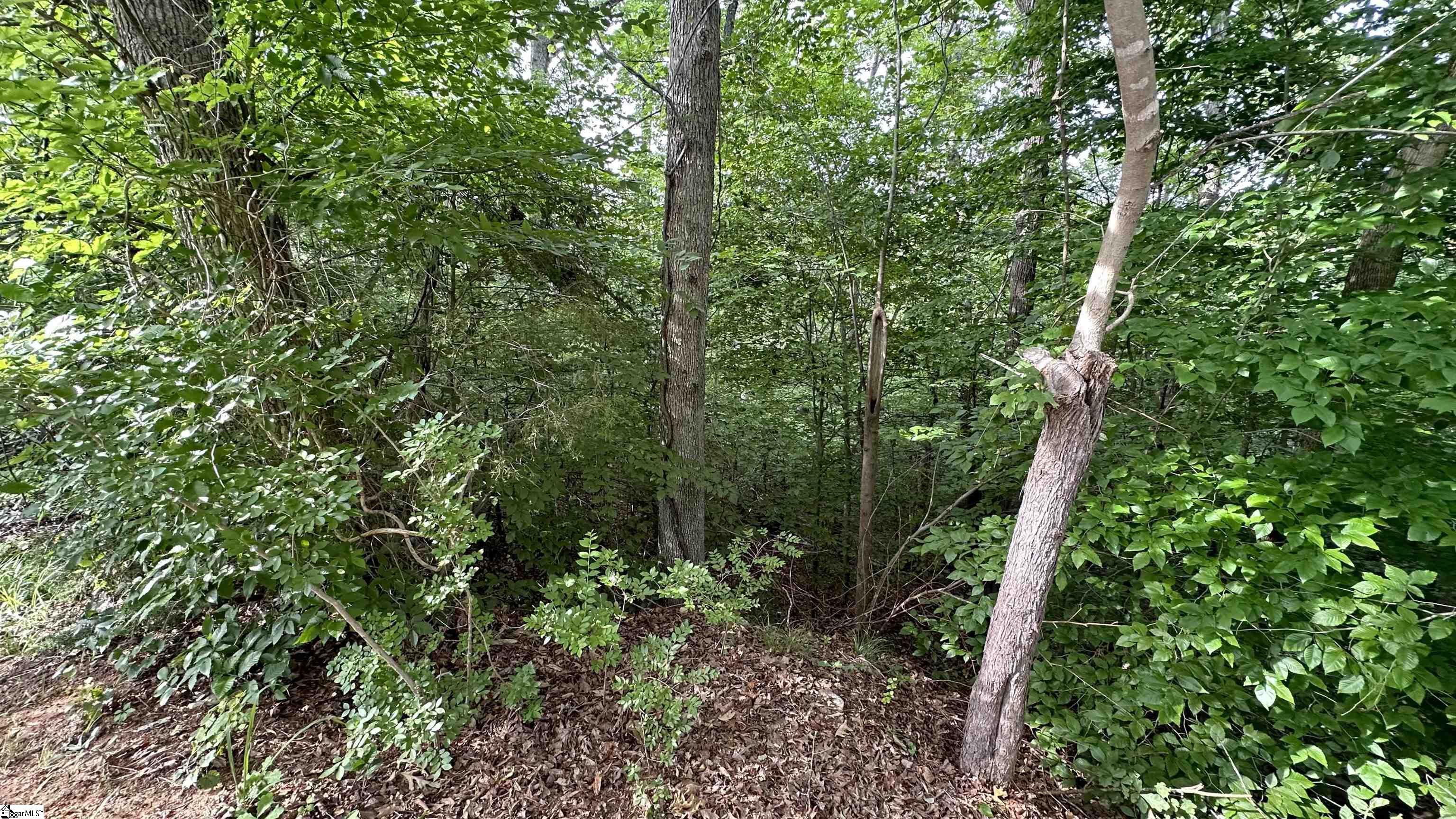 00 Buttercup Court UNIT lot 268 Westminster, SC 29693