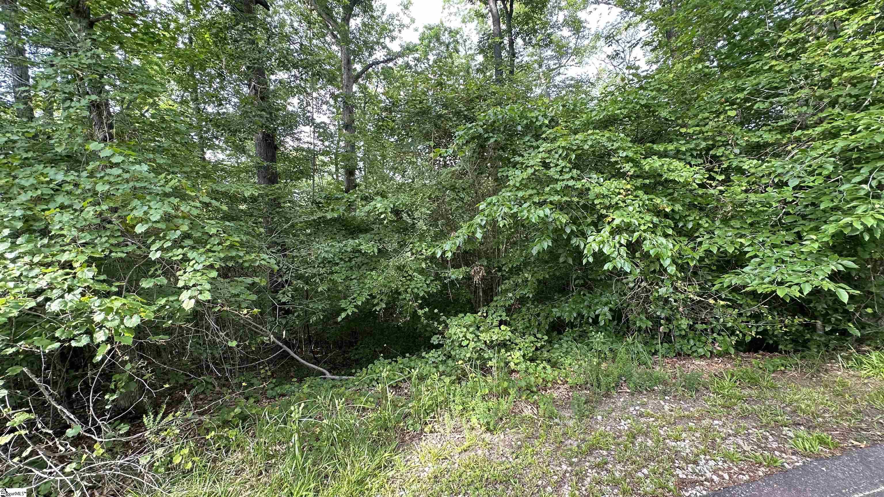 00 Buttercup Court UNIT lot 268 Westminster, SC 29693