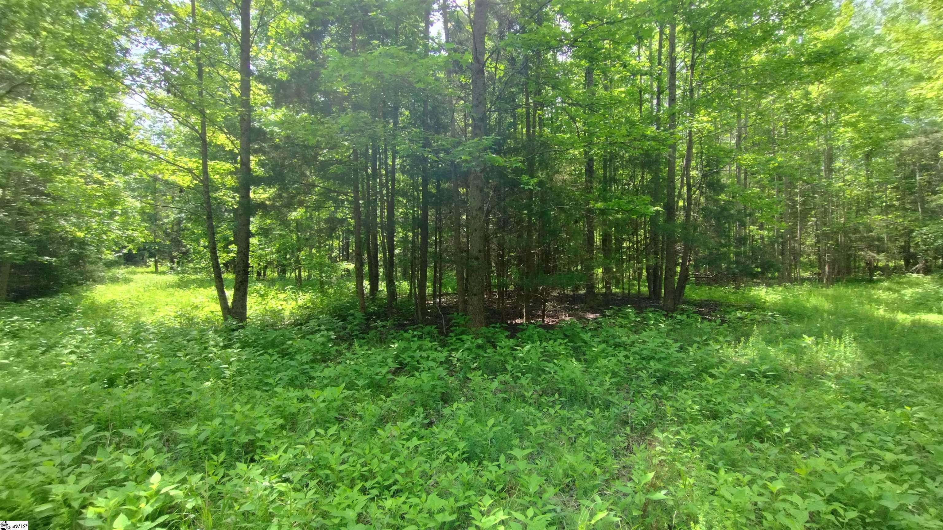 00 Fort Lindley Road Laurens, SC 29360-7216