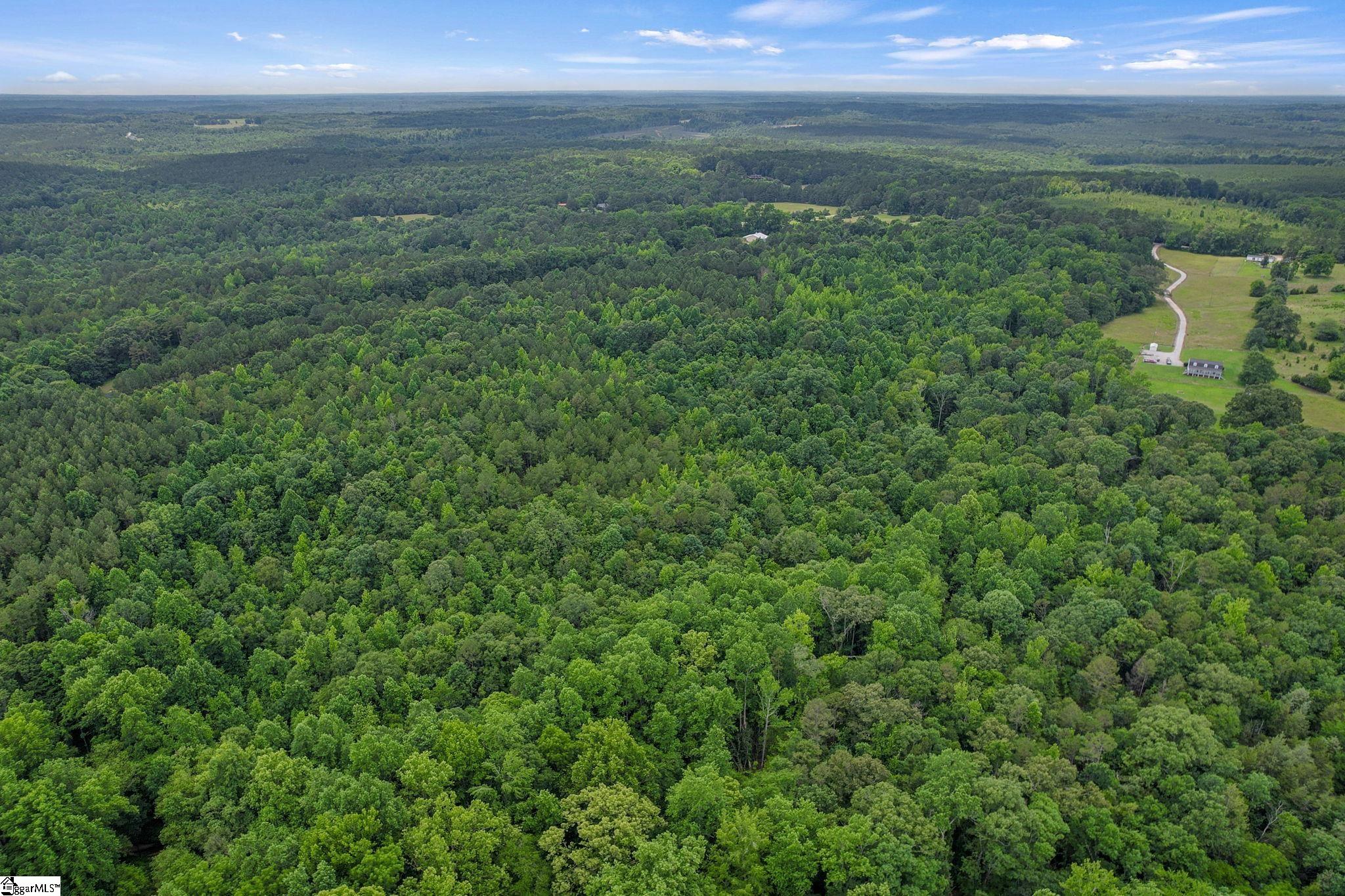 00 Fort Lindley Road Laurens, SC 29360-7216