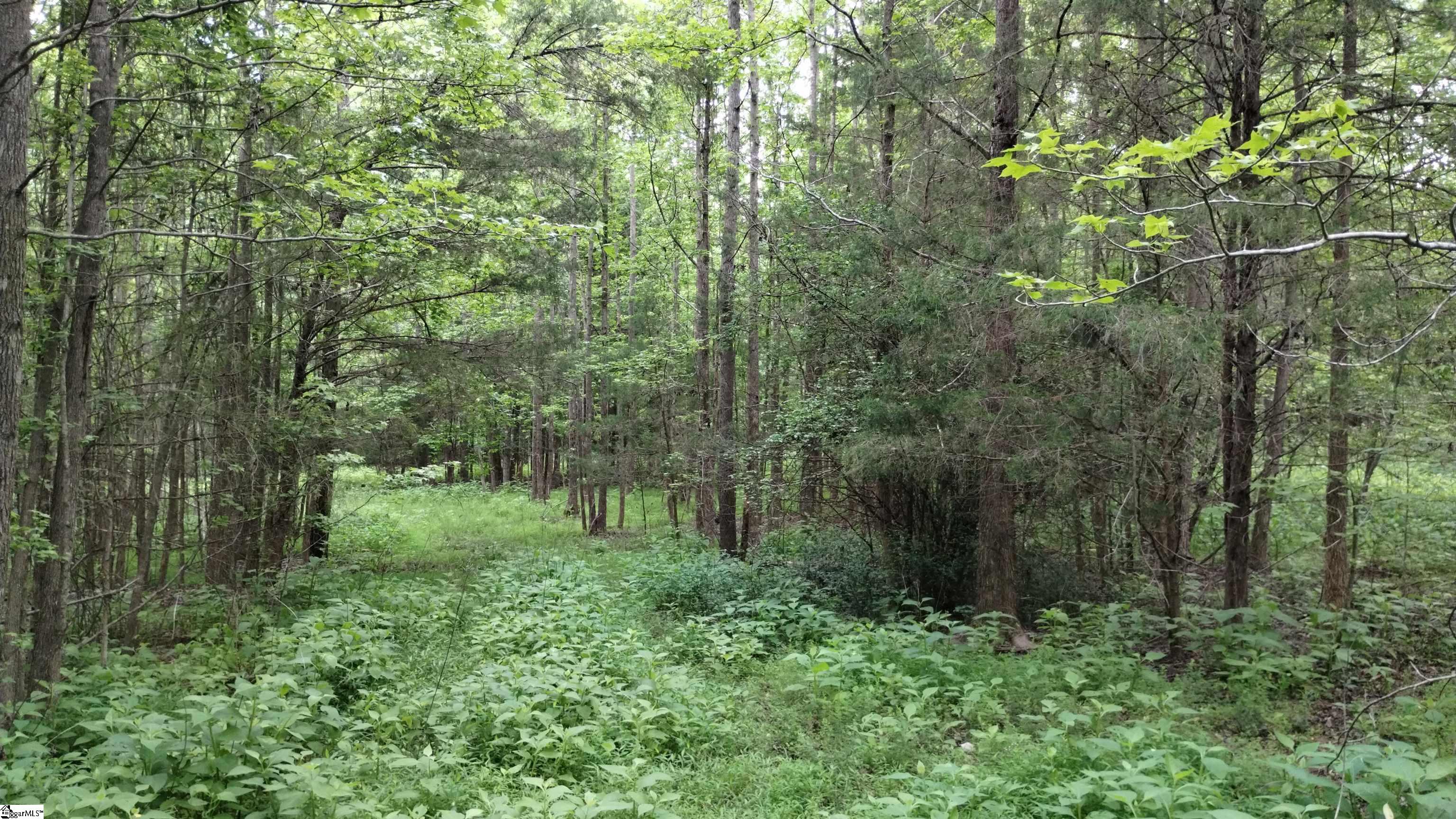 00 Fort Lindley Road Laurens, SC 29360-7216