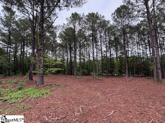Peachview Boulevard Gaffney, SC 29341