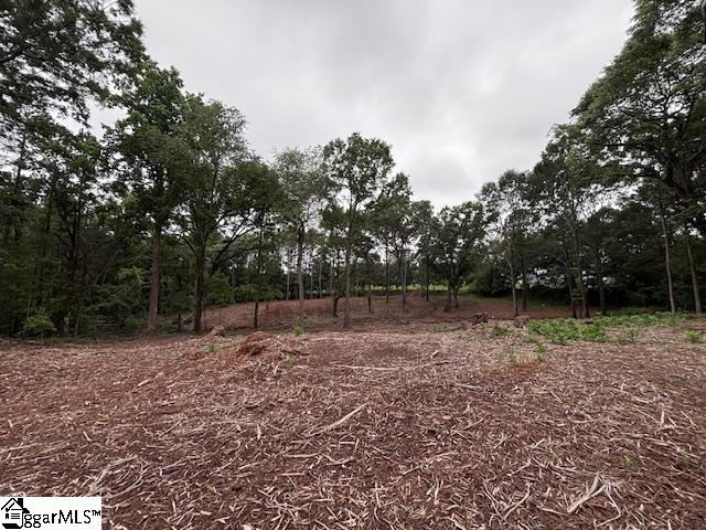 Peachview Boulevard Gaffney, SC 29341
