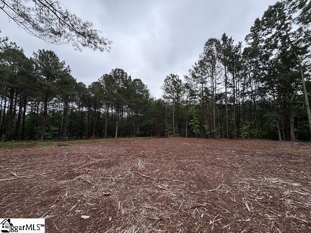 Peachview Boulevard Gaffney, SC 29341
