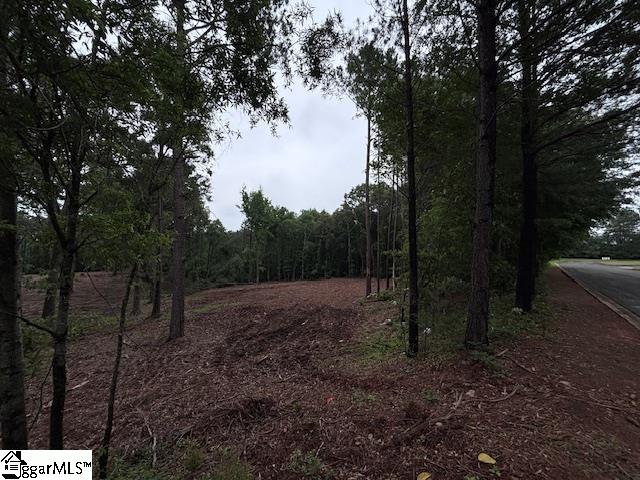 Peachview Boulevard Gaffney, SC 29341
