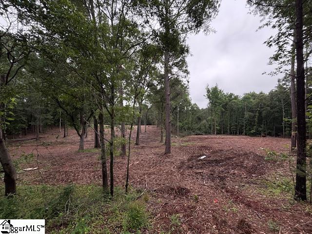 Peachview Boulevard Gaffney, SC 29341