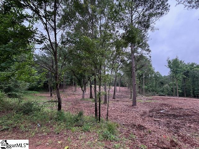 Peachview Boulevard Gaffney, SC 29341