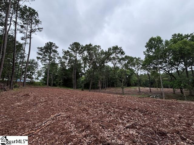 Peachview Boulevard Gaffney, SC 29341