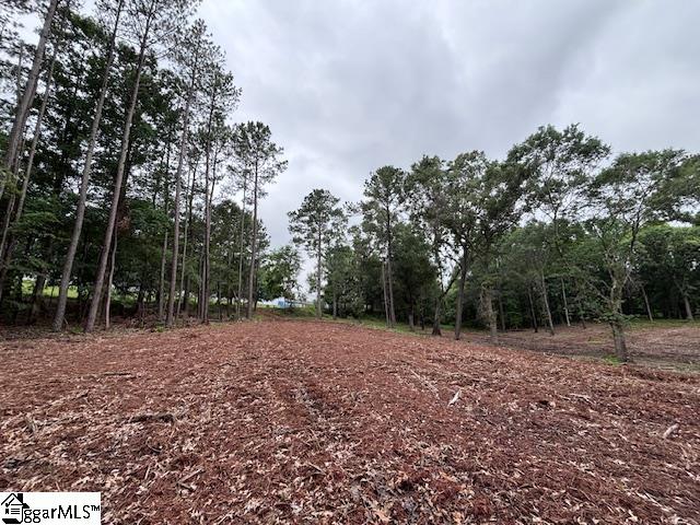 Peachview Boulevard Gaffney, SC 29341