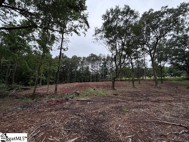 Peachview Boulevard Gaffney, SC 29341