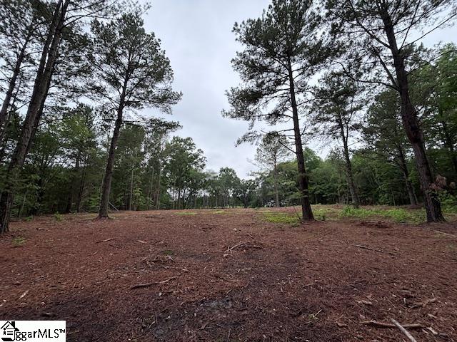 Peachview Boulevard Gaffney, SC 29341