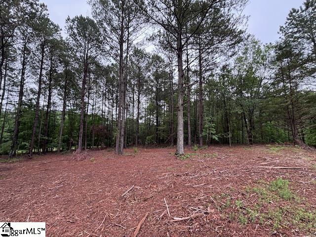 Peachview Boulevard Gaffney, SC 29341