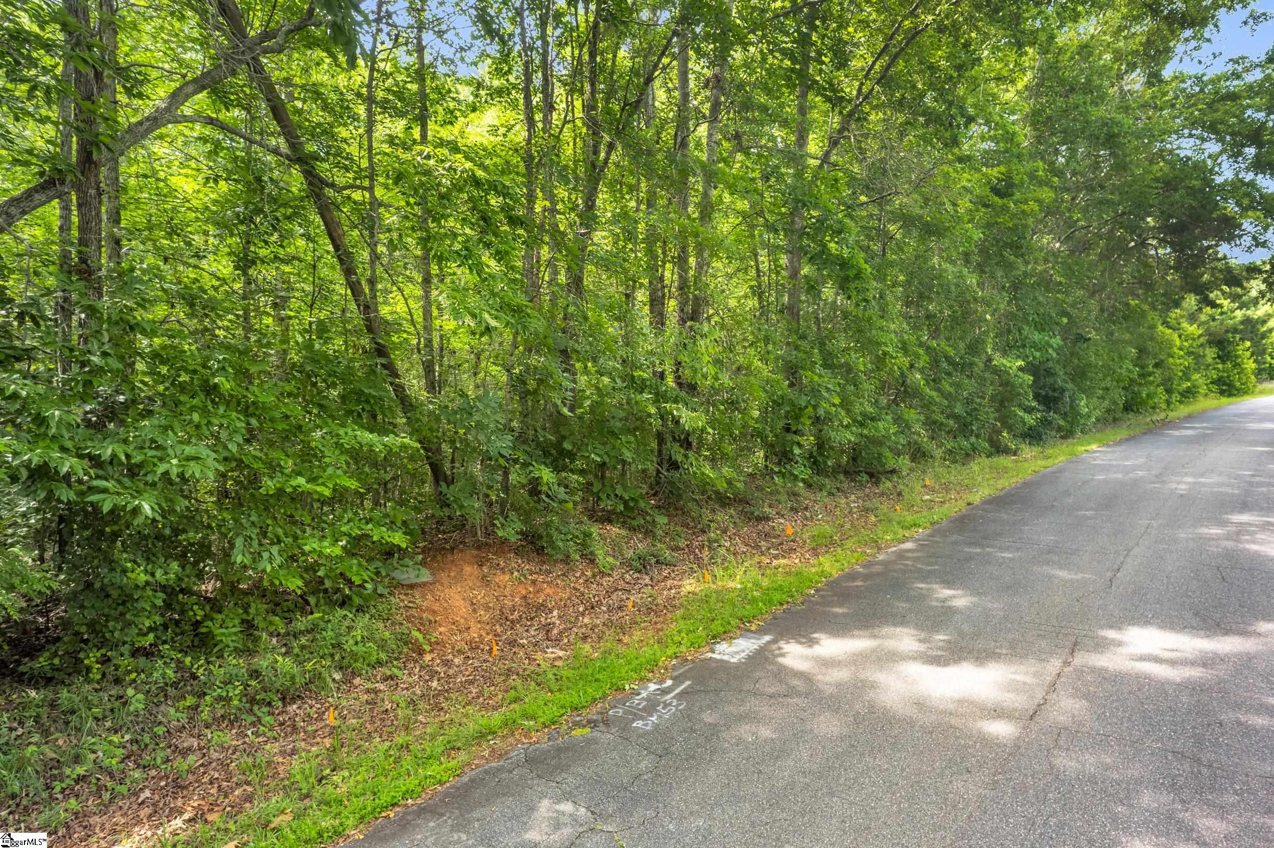 Roosevelt Thompson Road Anderson, SC 29621