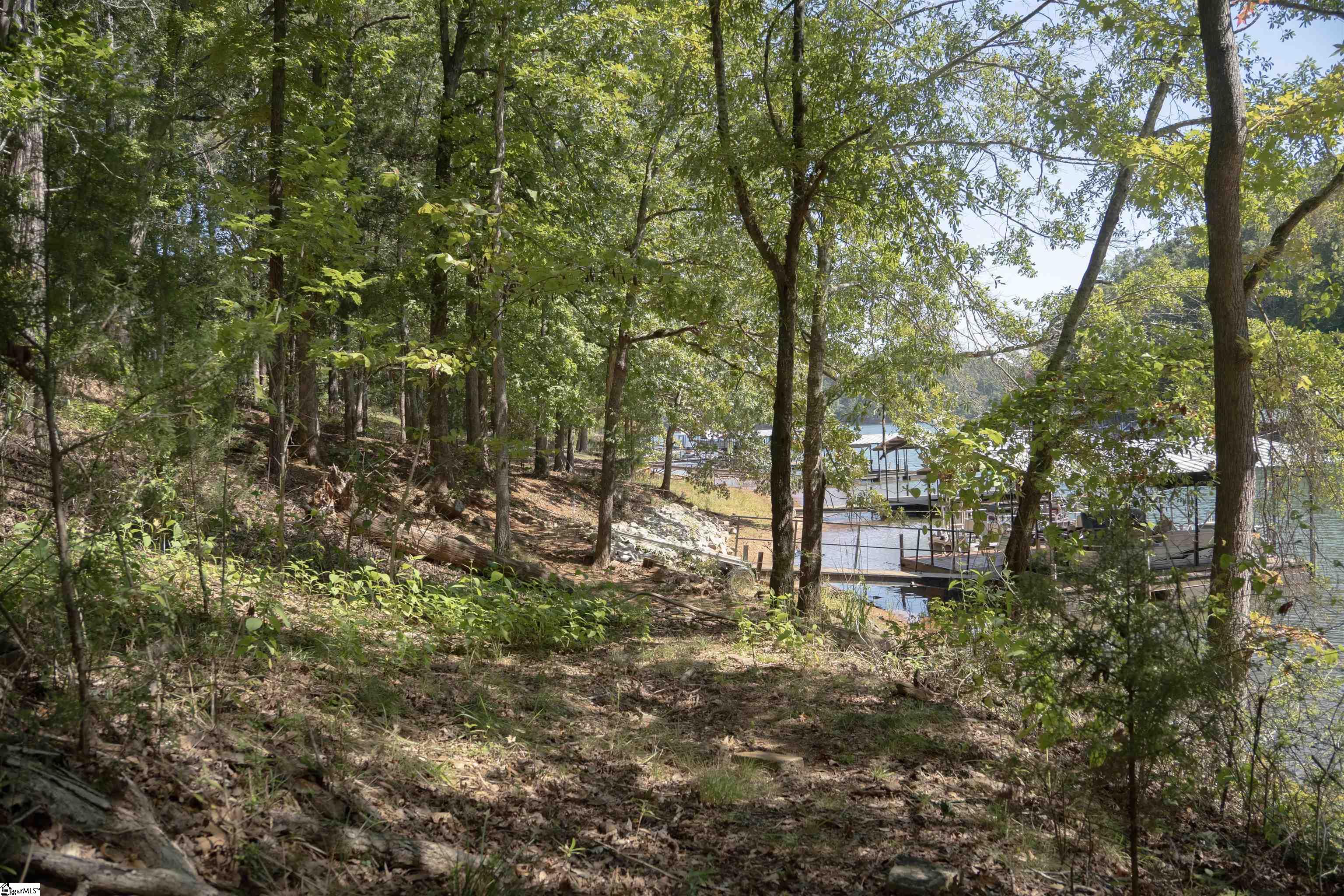 140 Robinhood Road Townville, SC 29689